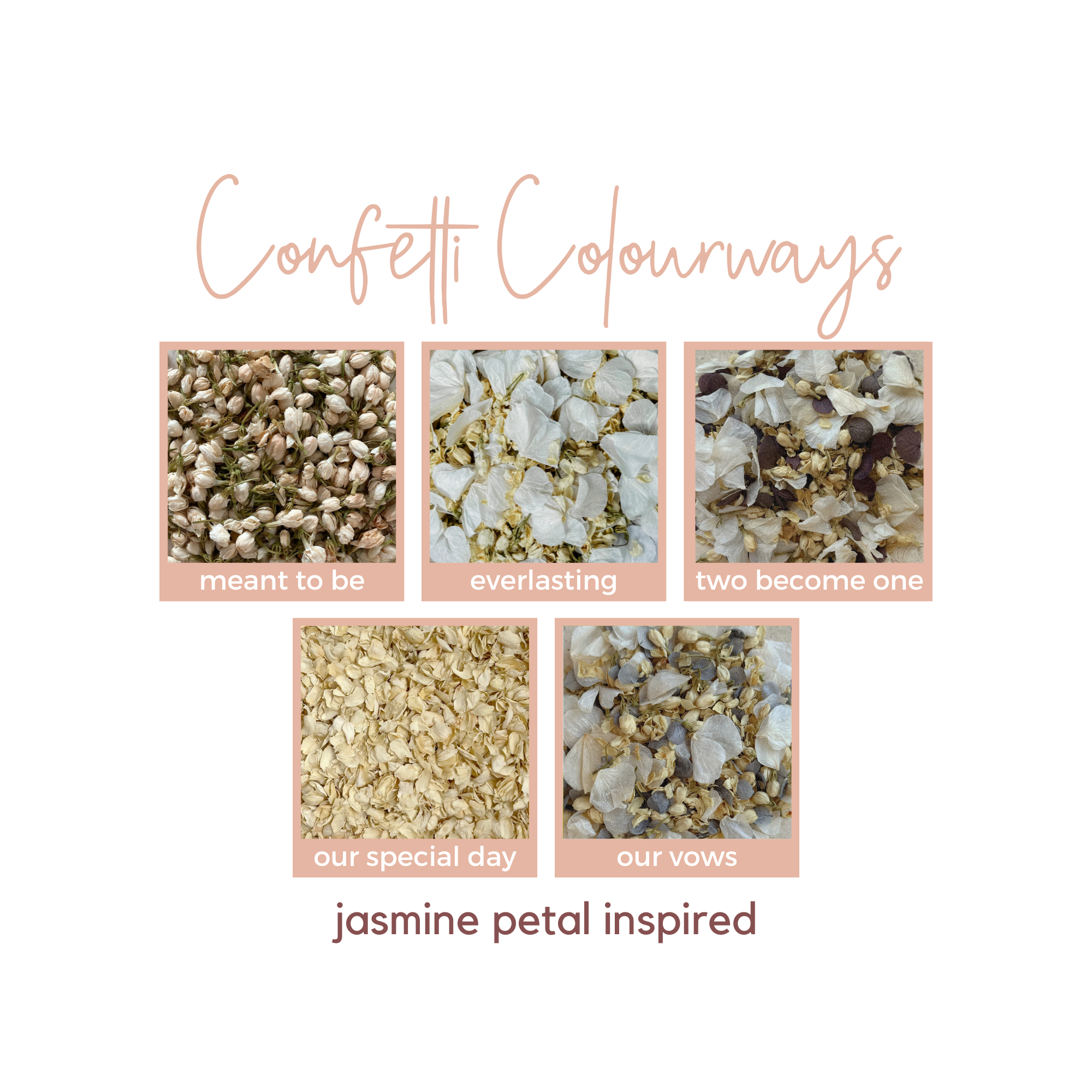 Dried Flower Confetti + Cone Bundle