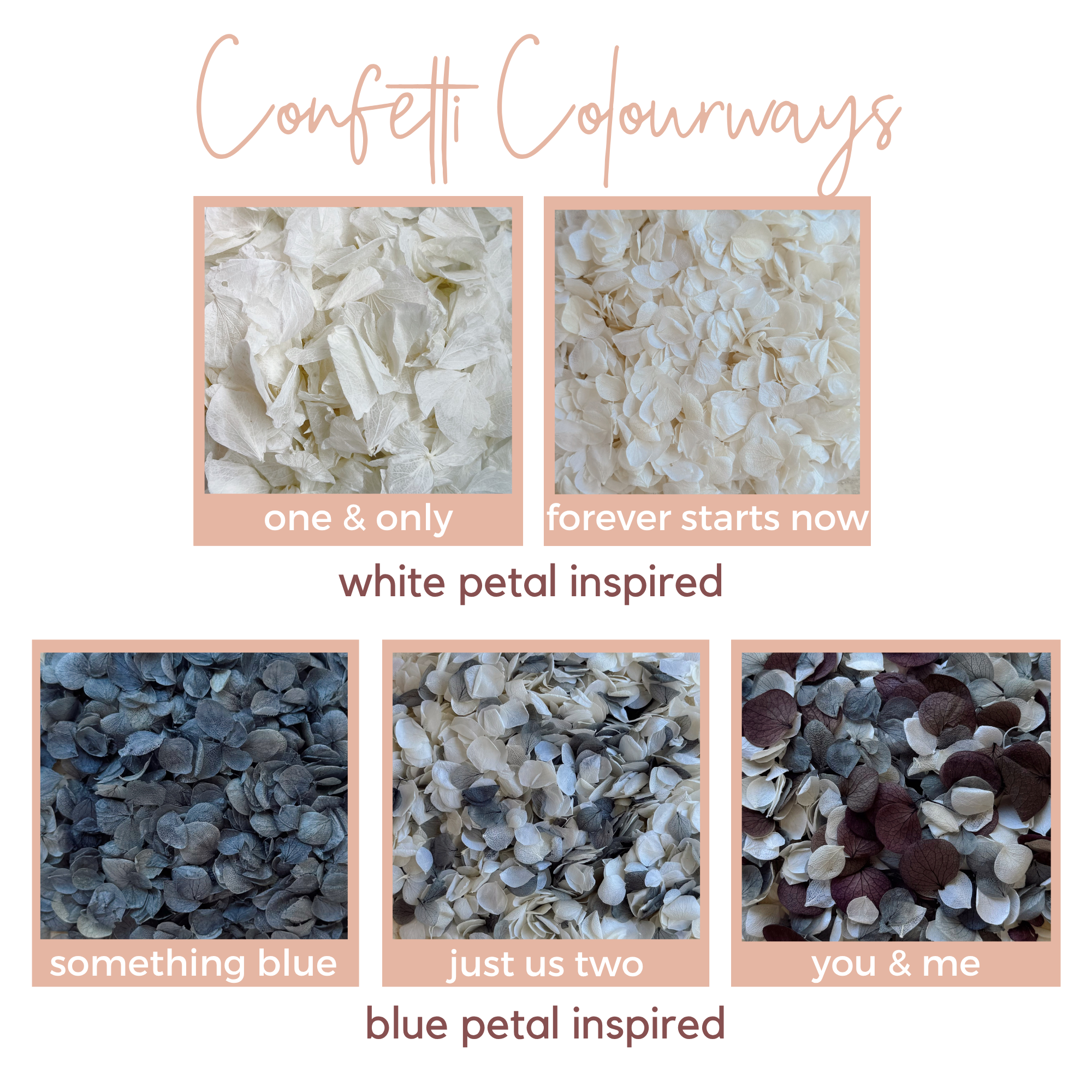 Preserved Flower Confetti + Cone Bundle