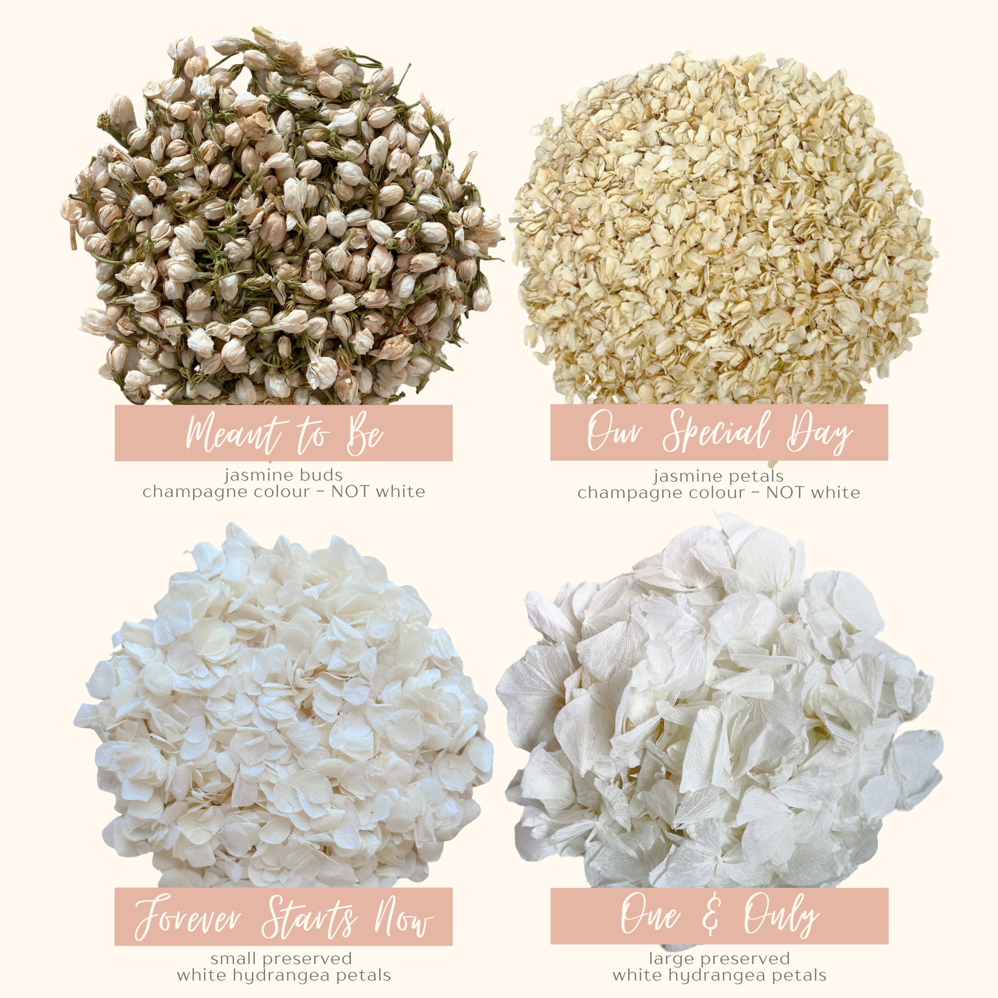 1 Litre Wedding Dried Flower Confetti | 24 Confetti Colourways