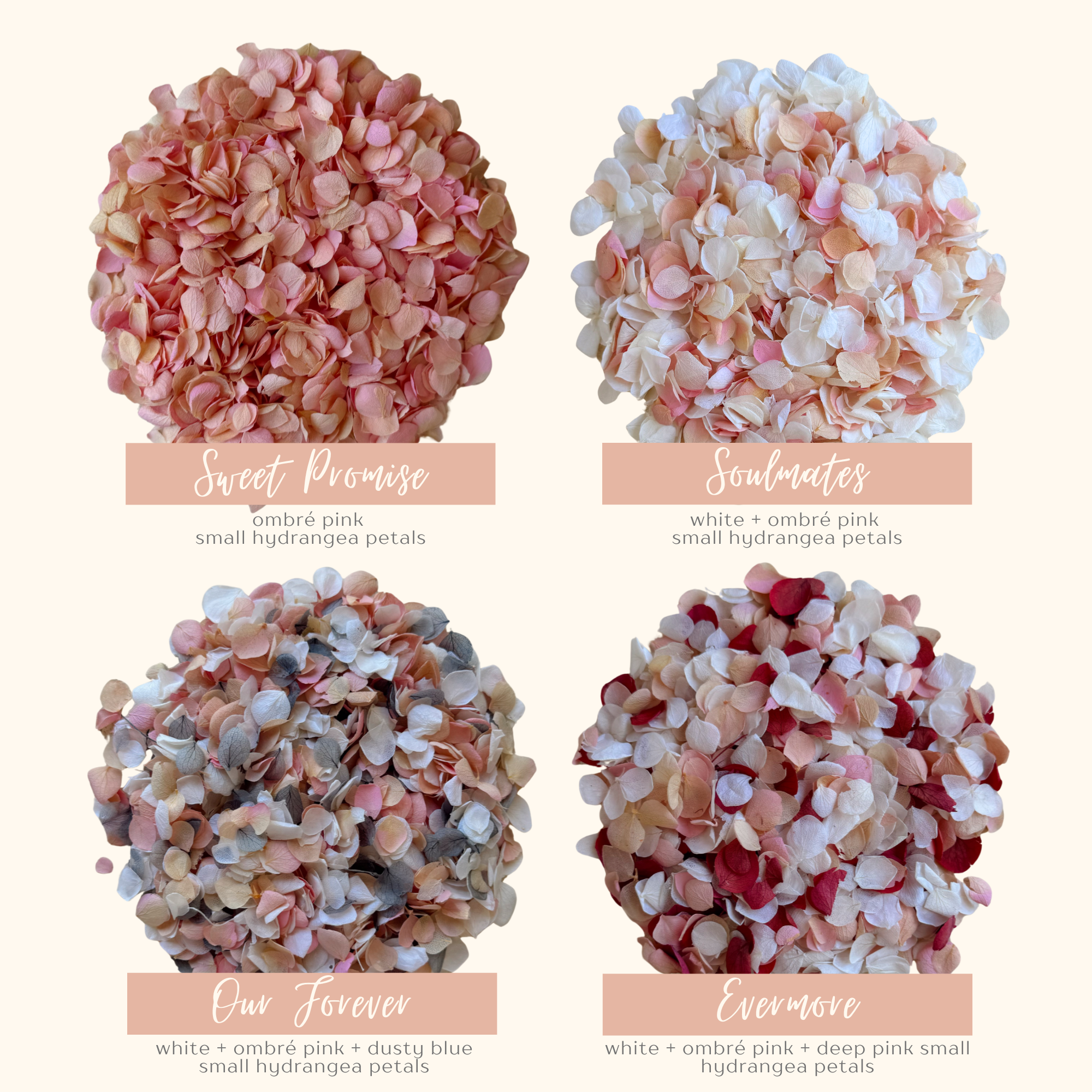 1 Litre Wedding Dried Flower Confetti | 24 Confetti Colourways
