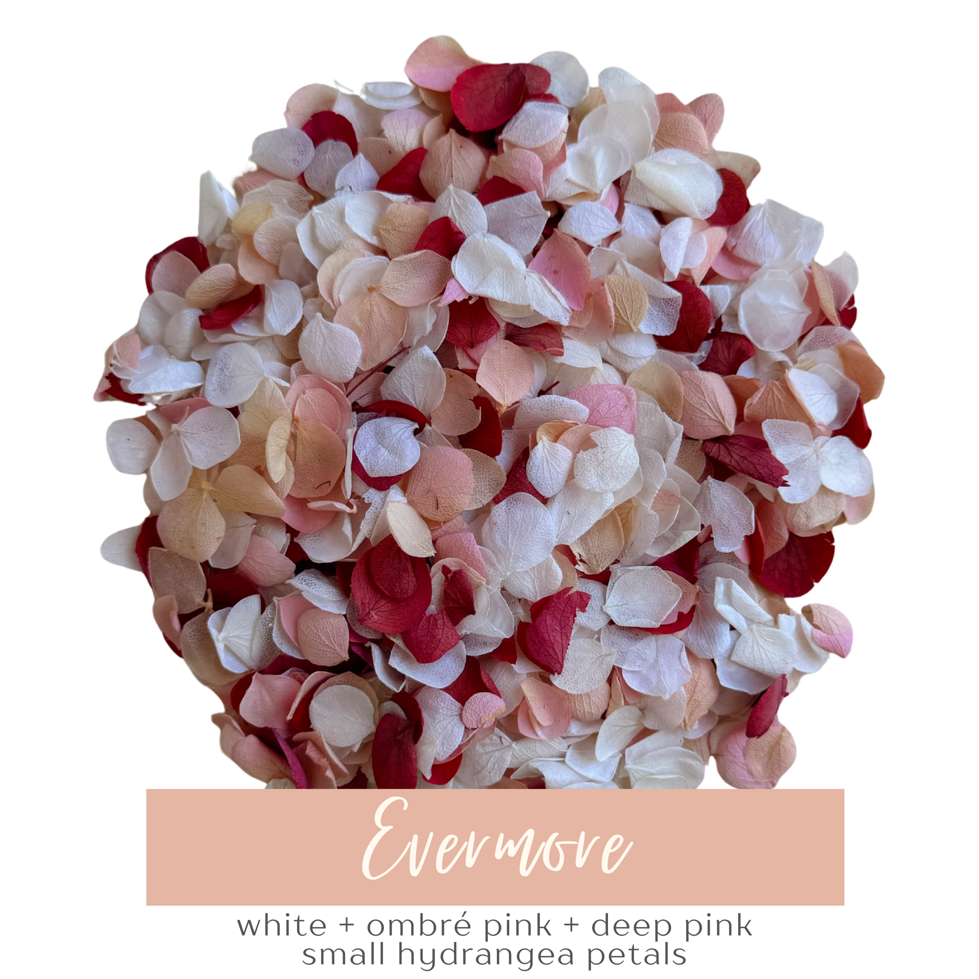 Flower Confetti + Cones | Evermore