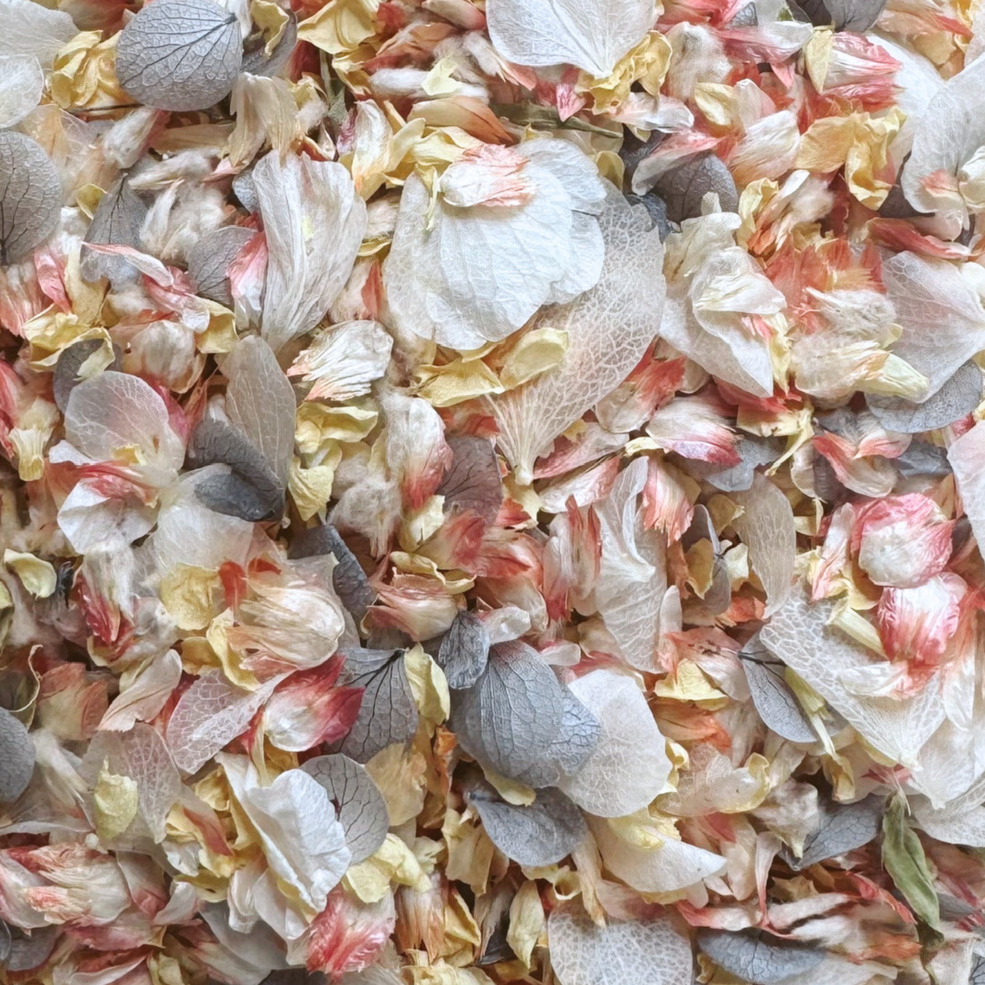 For Better or Worse | Biodegradable Dried & Preserved Flower Confetti