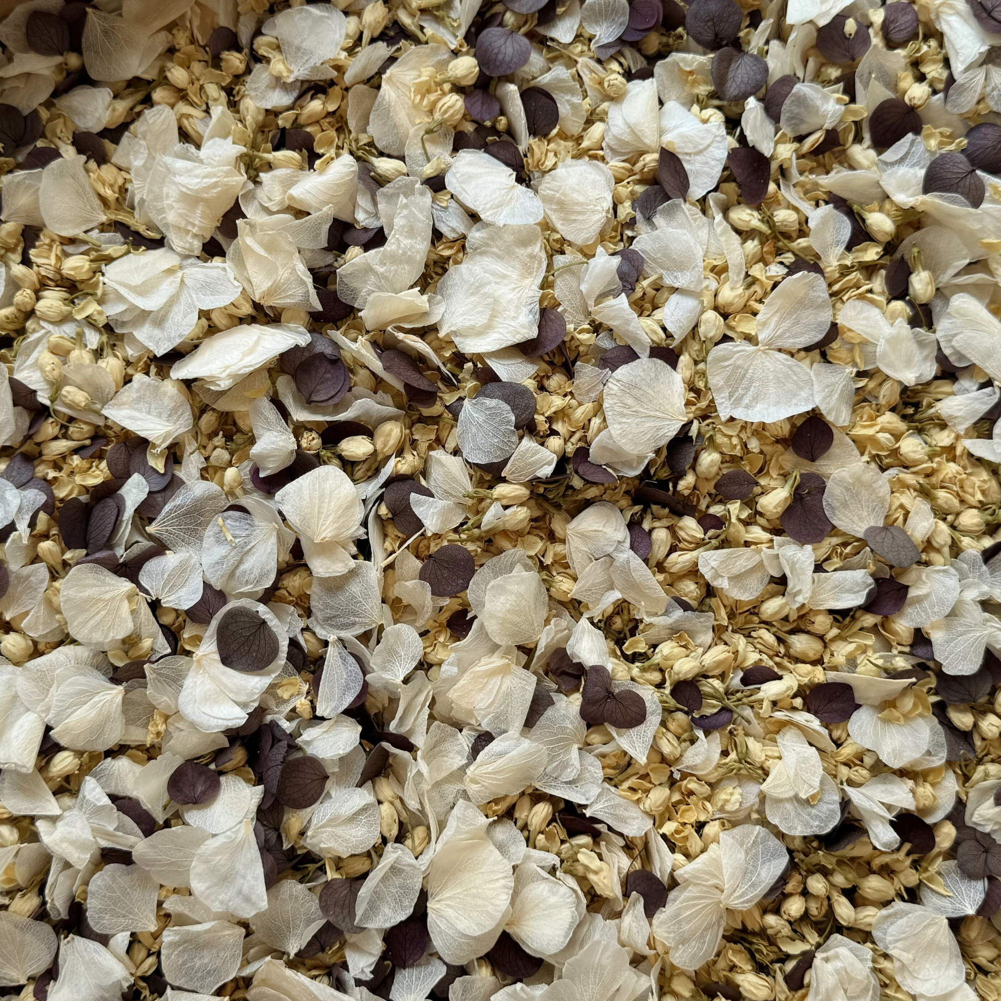 Two Become One | Biodegradable Dried & Preserved Flower Confetti