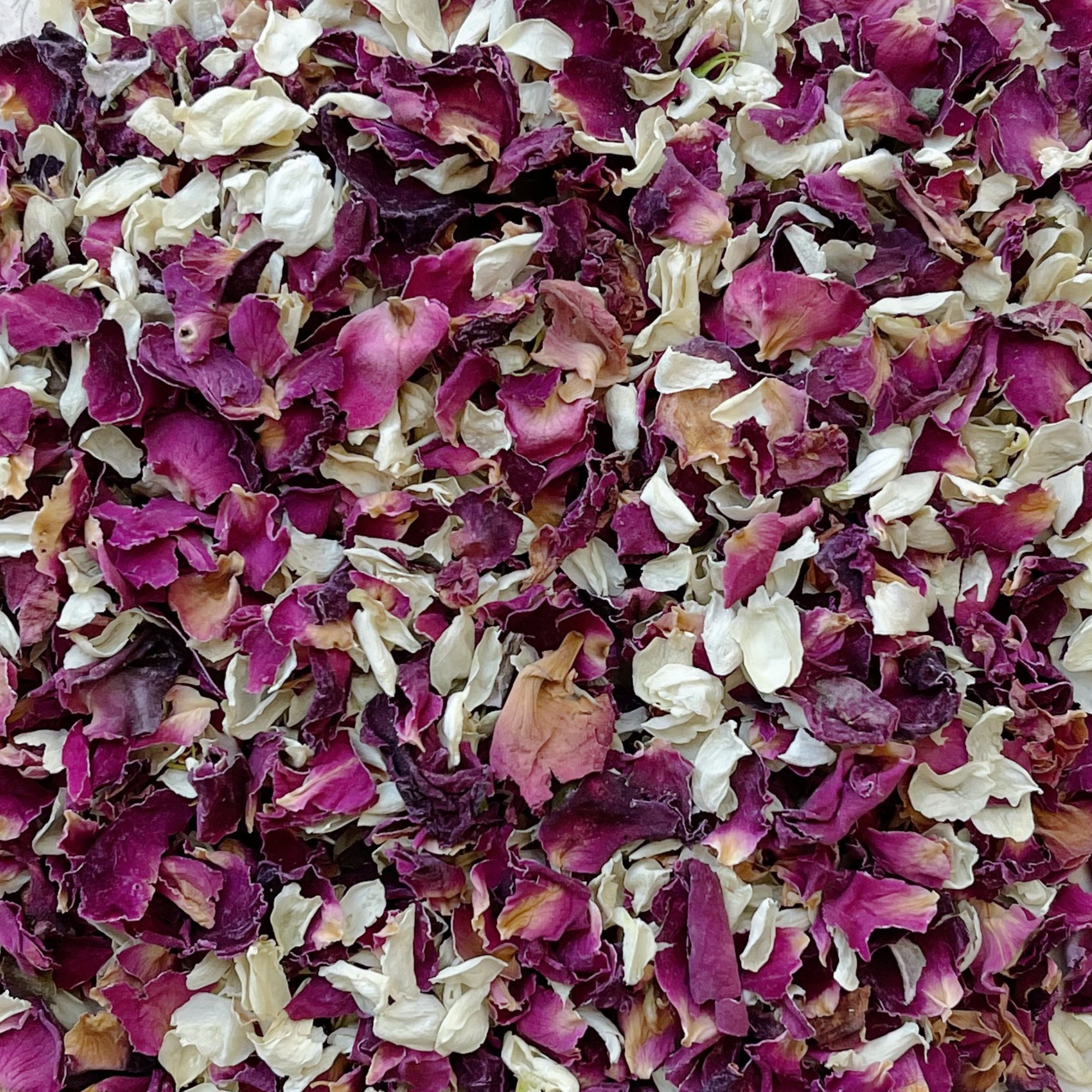 I Choose You | Biodegradable Dried Flower Confetti