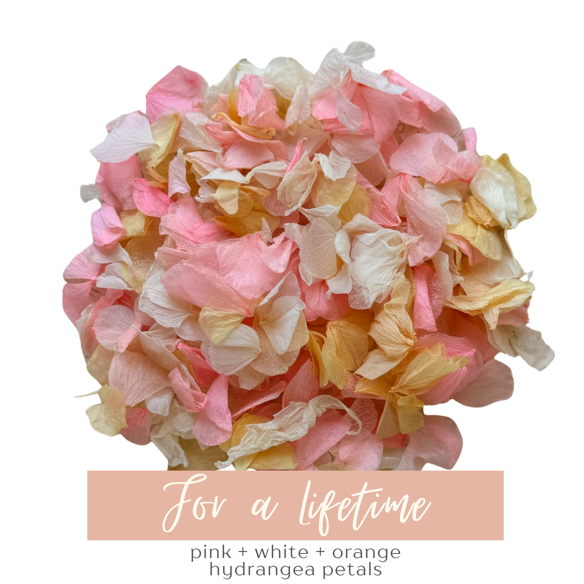 Flower Confetti + Cones | For a Lifetime