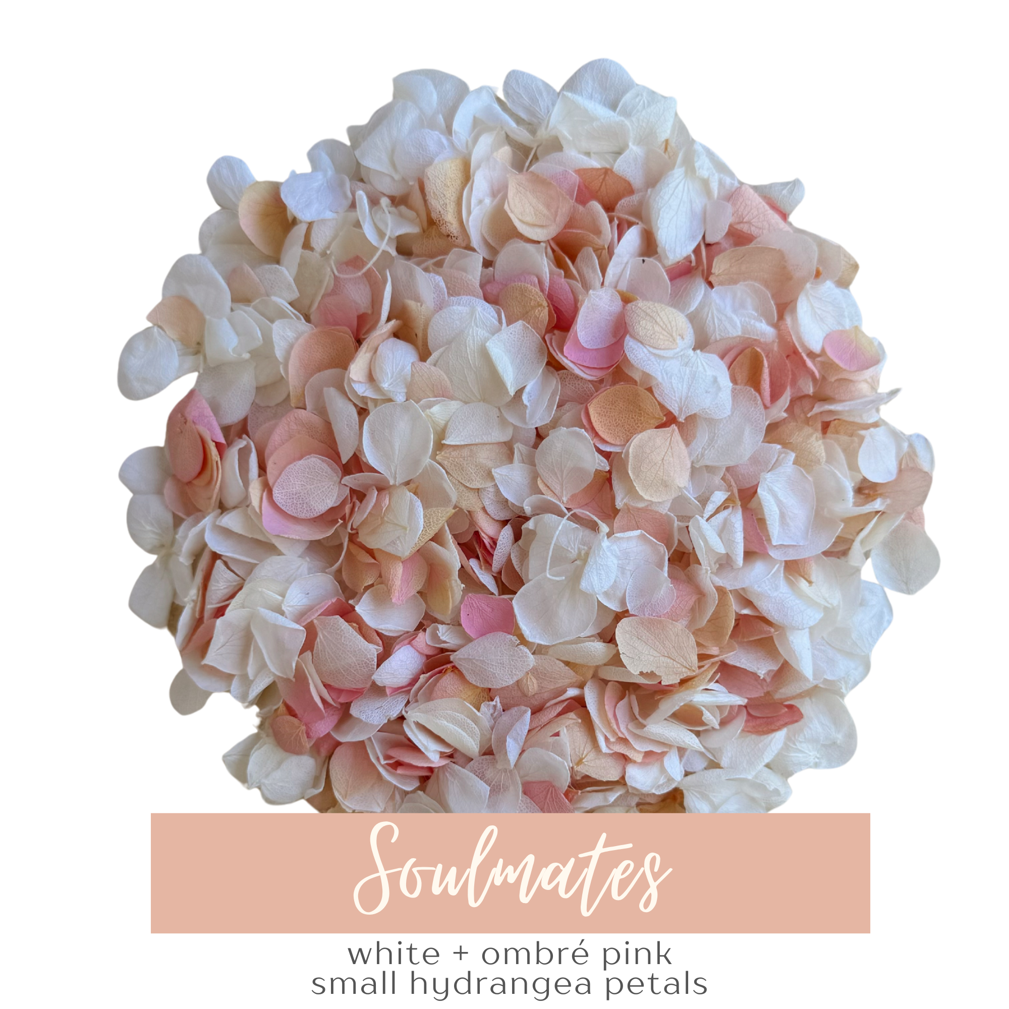 Flower Confetti + Cones | Soulmates