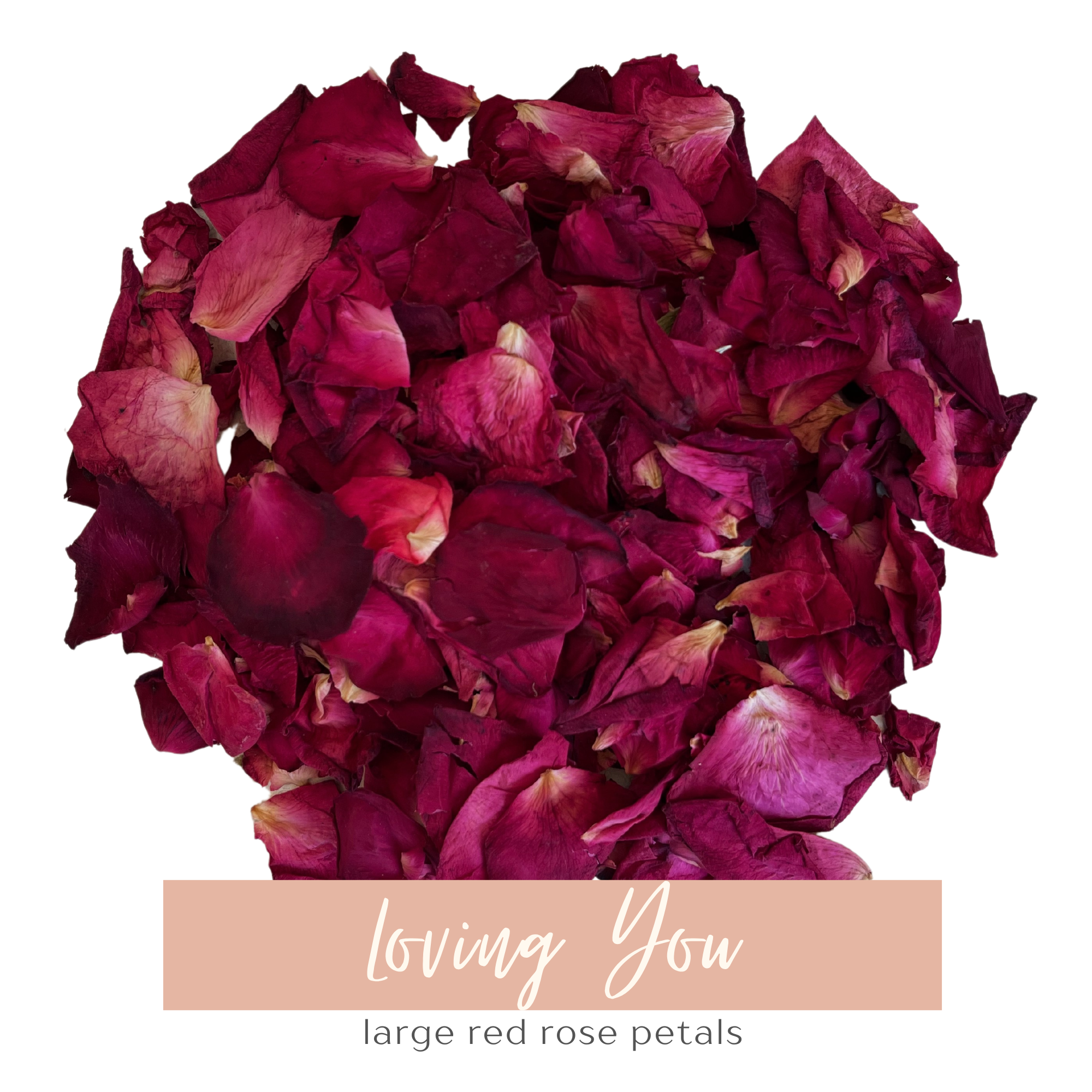 Loving You | Biodegradable Dried Flower Confetti