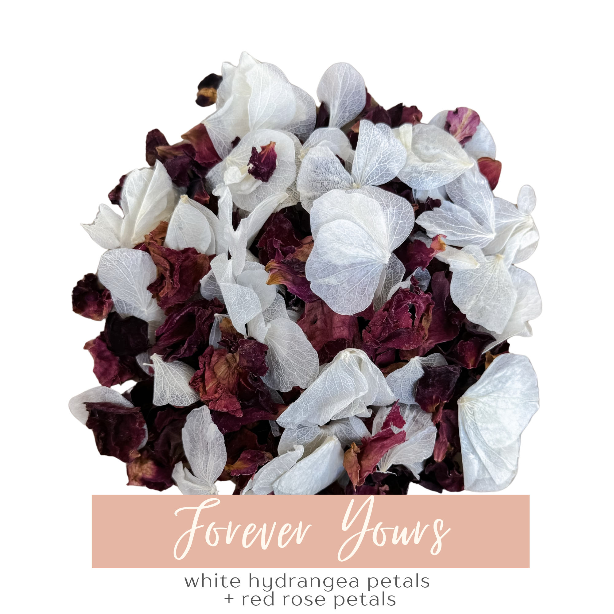 Forever Yours | Biodegradable Dried & Preserved Flower Confetti