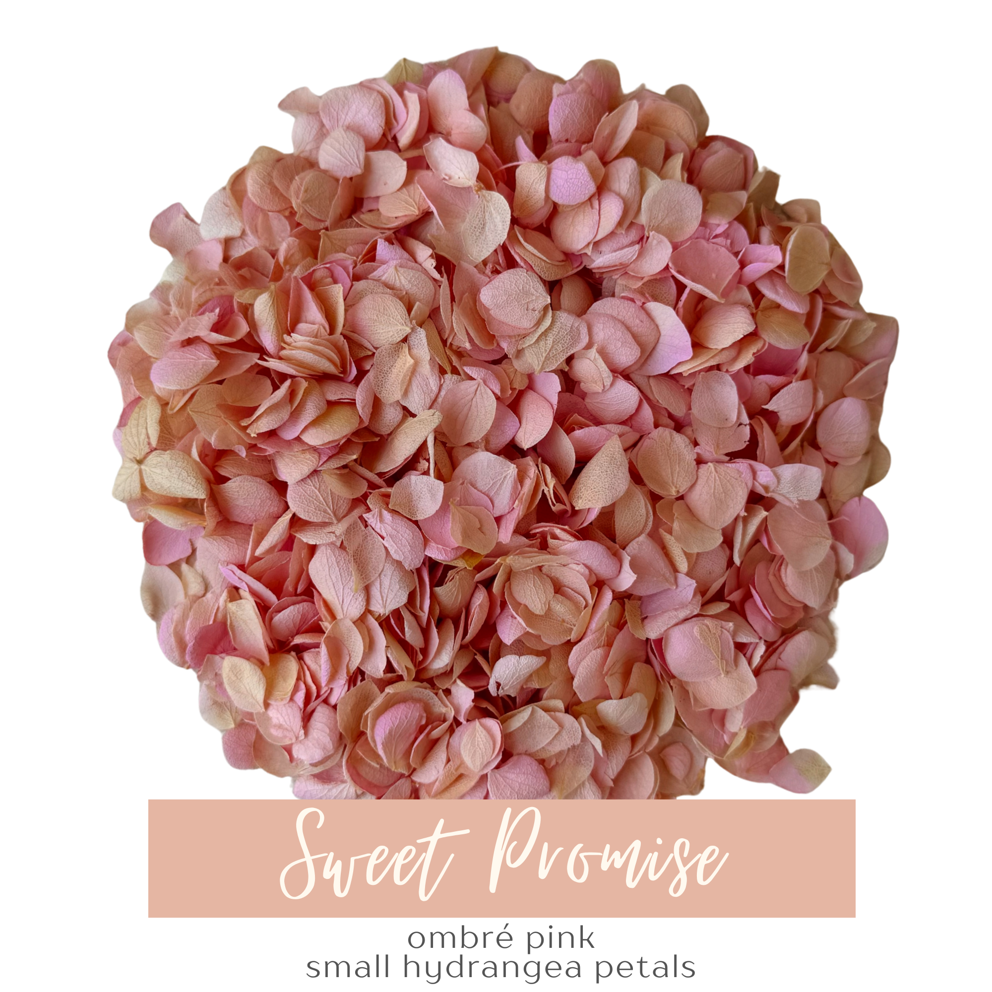 Flower Confetti + Cones | Sweet Promise