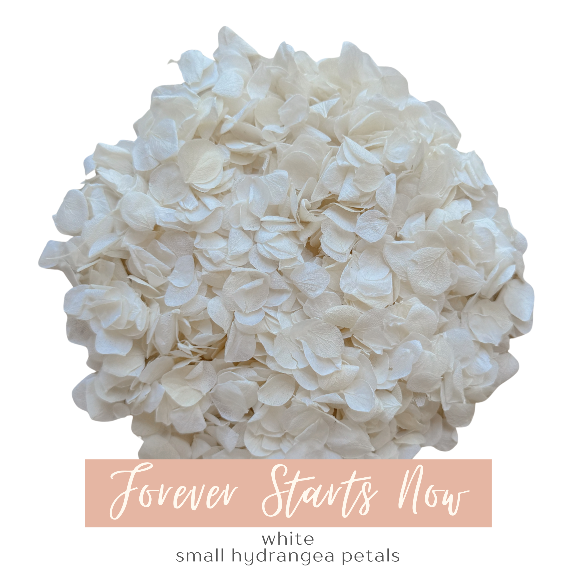 Flower Confetti + Cones | Forever Starts Now