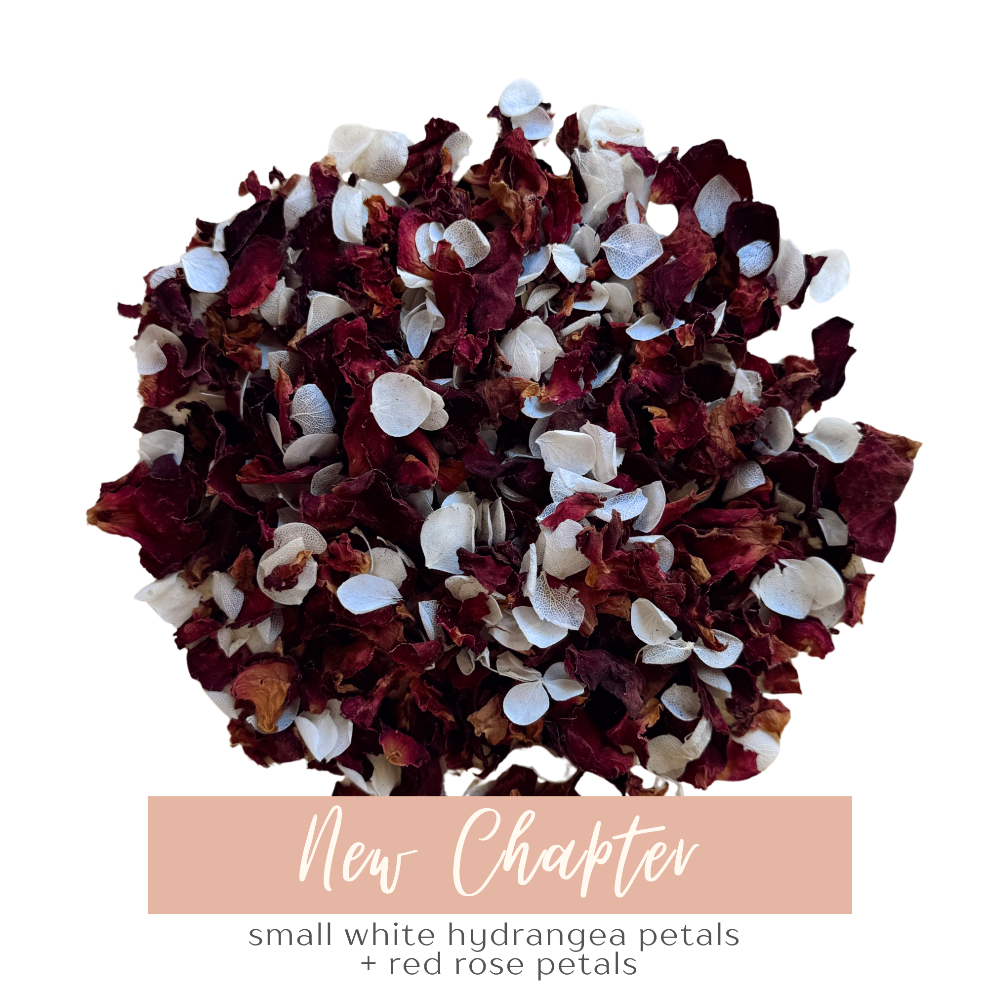 Next Chapter | Biodegradable Dried Flower Confetti