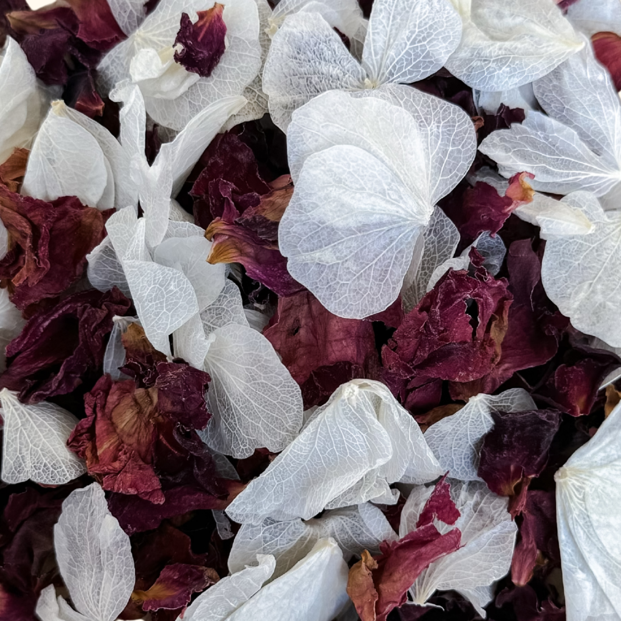 Forever Yours | Biodegradable Dried & Preserved Flower Confetti