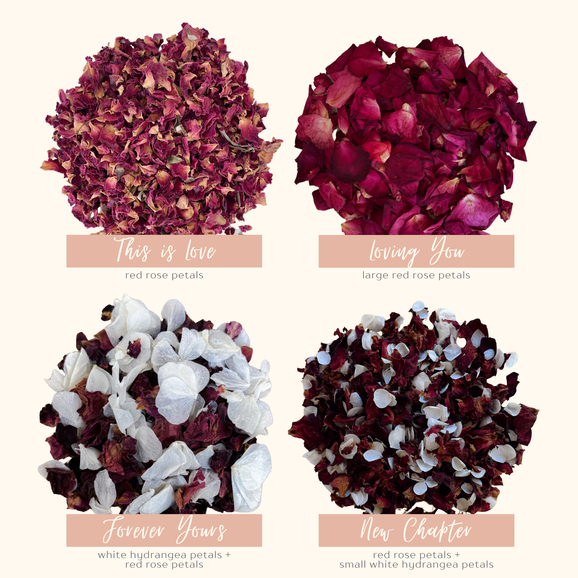 1 Litre Wedding Dried Flower Confetti | 24 Confetti Colourways