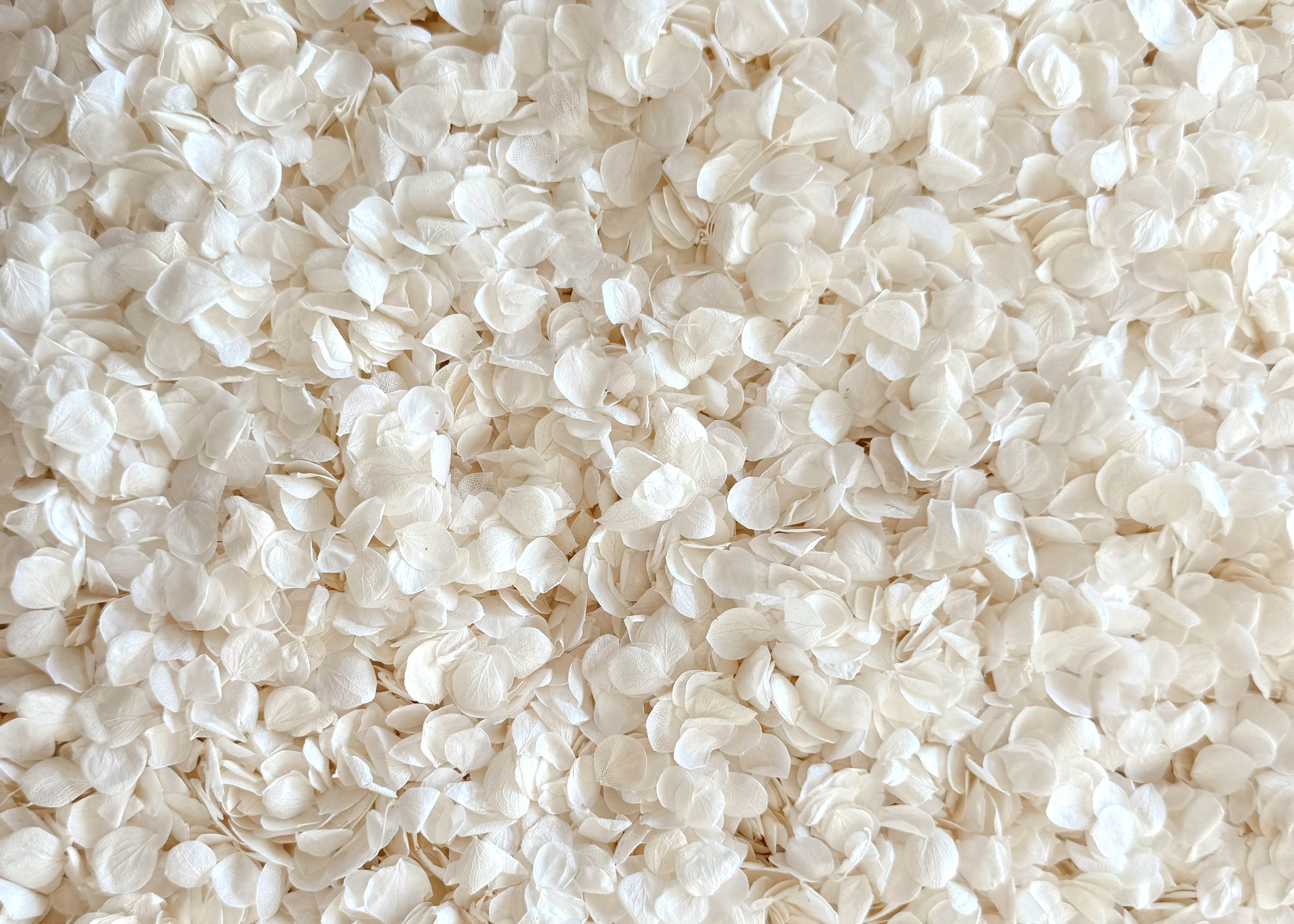 Preserved Hydrangea Petals | 'Forever Starts Now' Wedding Confetti