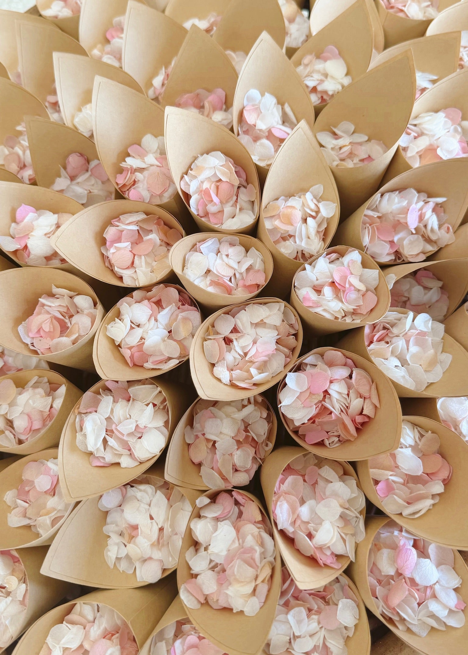 Preserved Flower Confetti + Cone Bundle