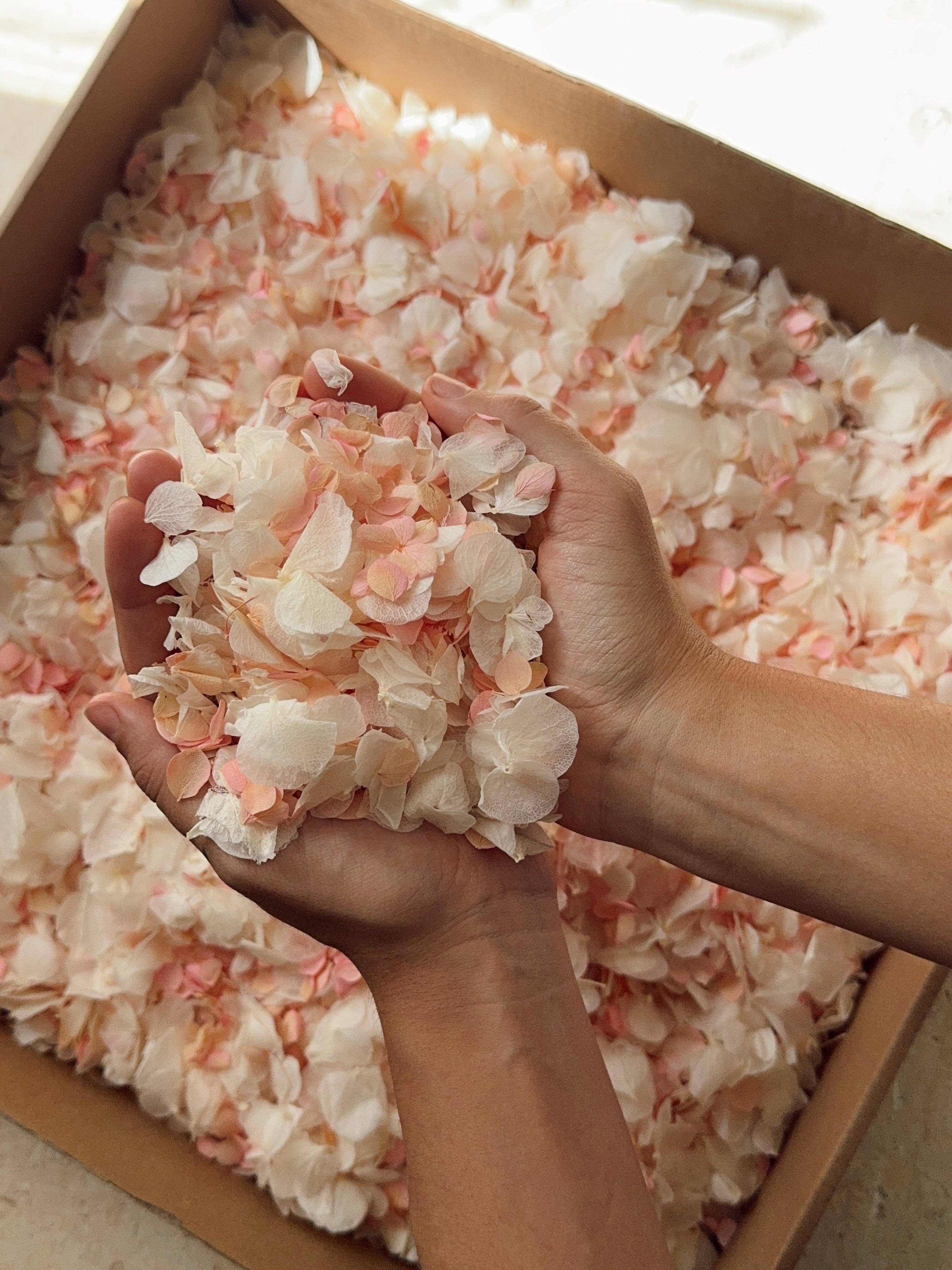 Preserved Hydrangea Petals | 'Our Day' Wedding Confetti