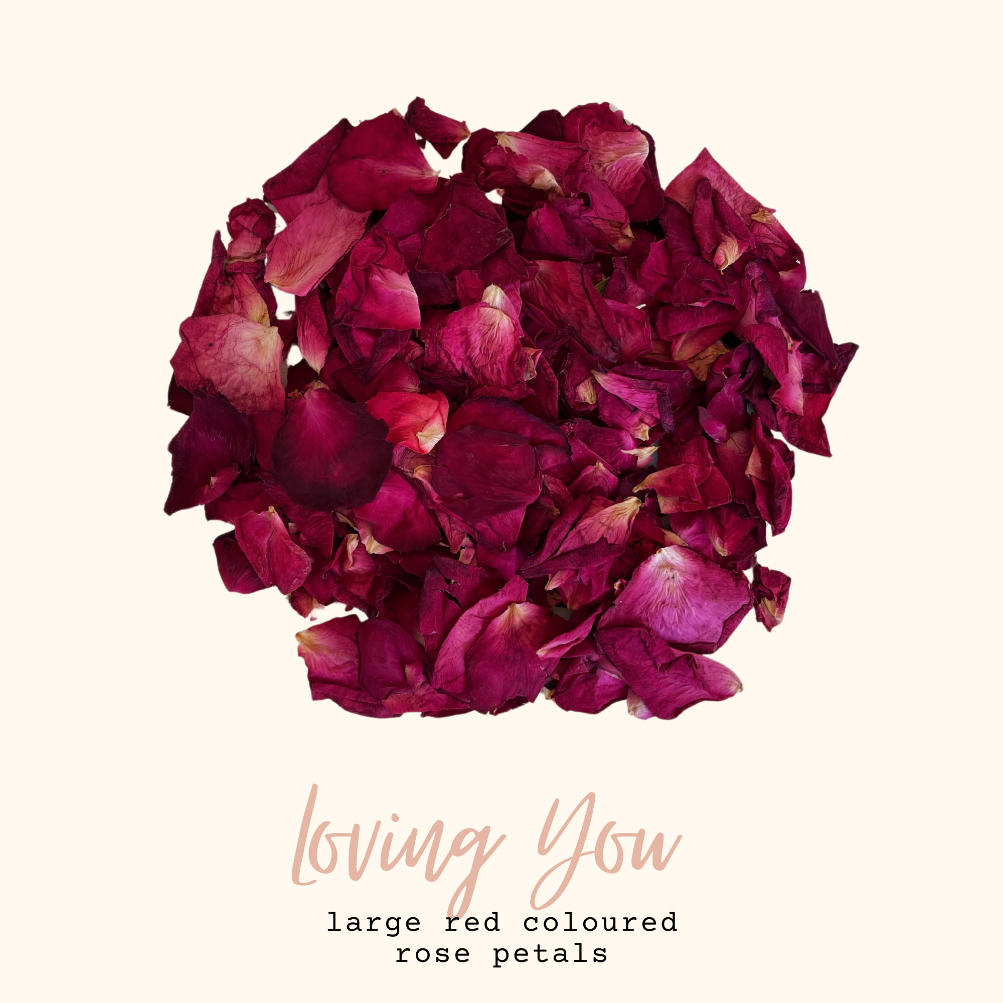 Flower Confetti + Cones | Loving You