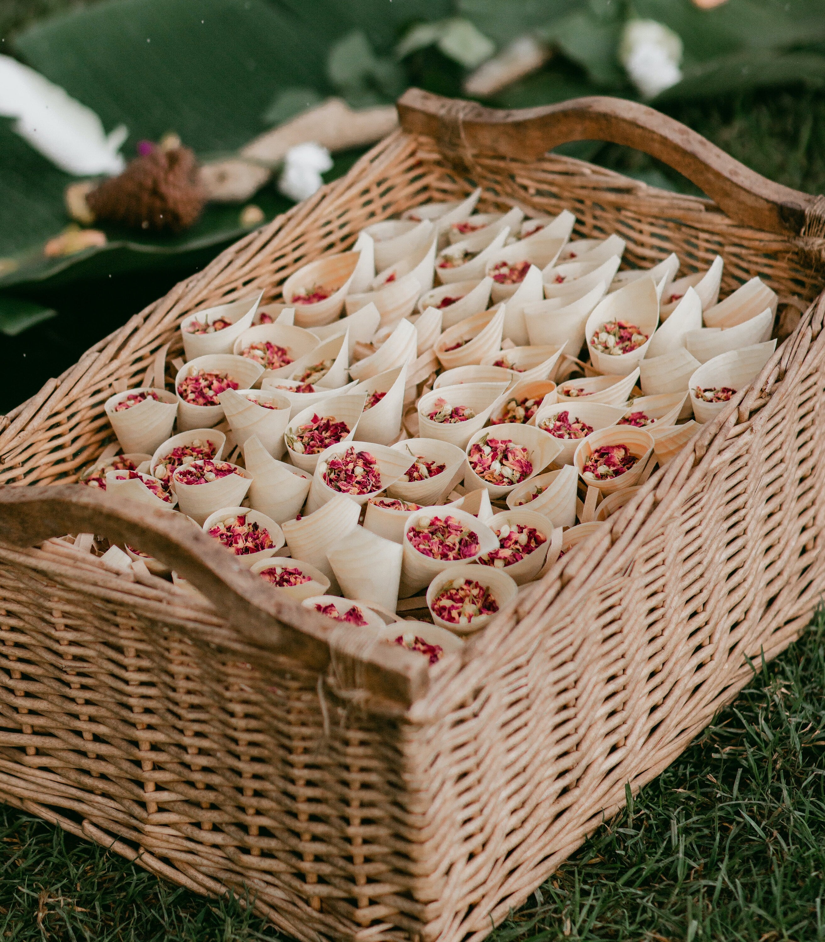Wedding Confetti Cone | Dried Flower Confetti Cone