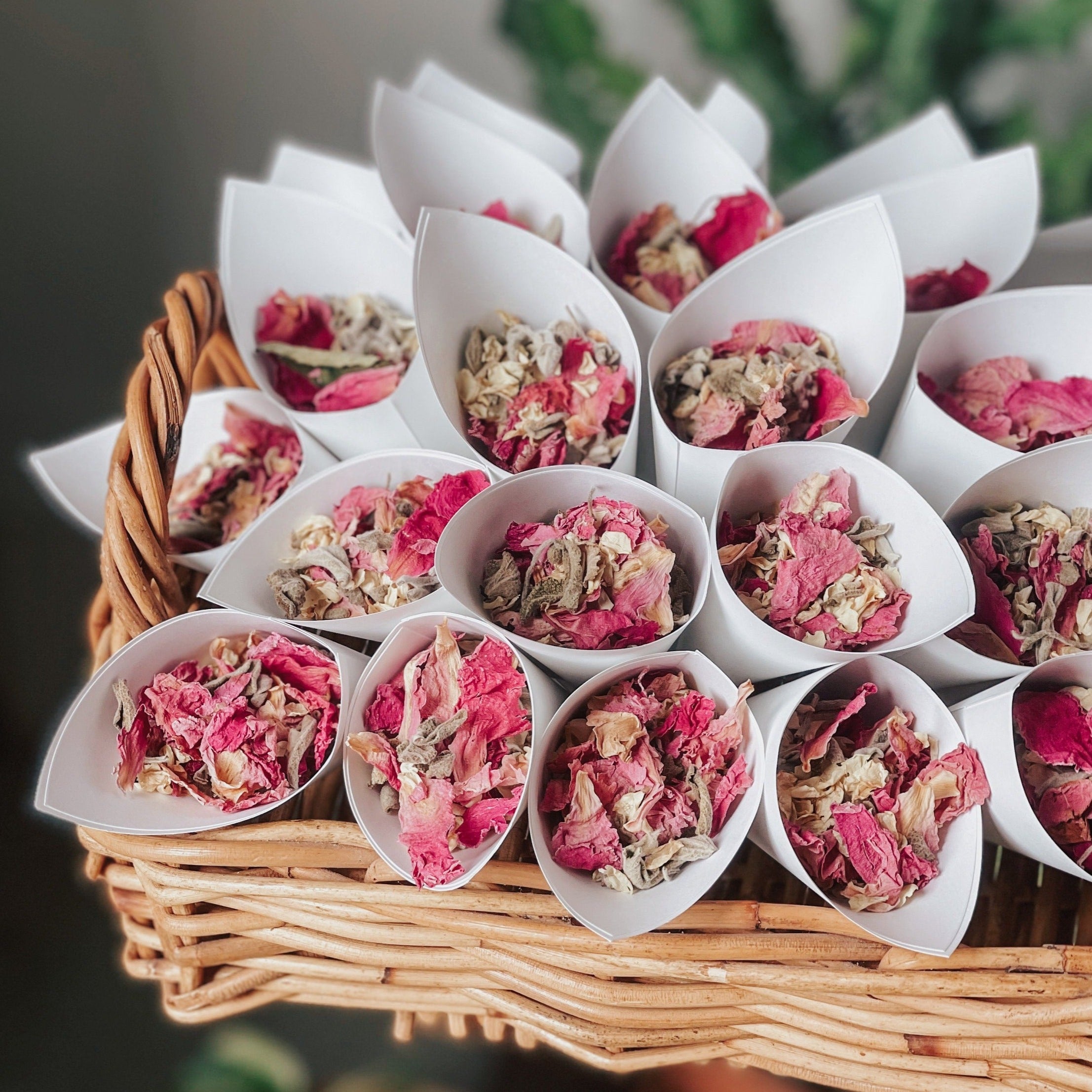 Wedding Confetti Cone | Dried Flower Confetti Cone