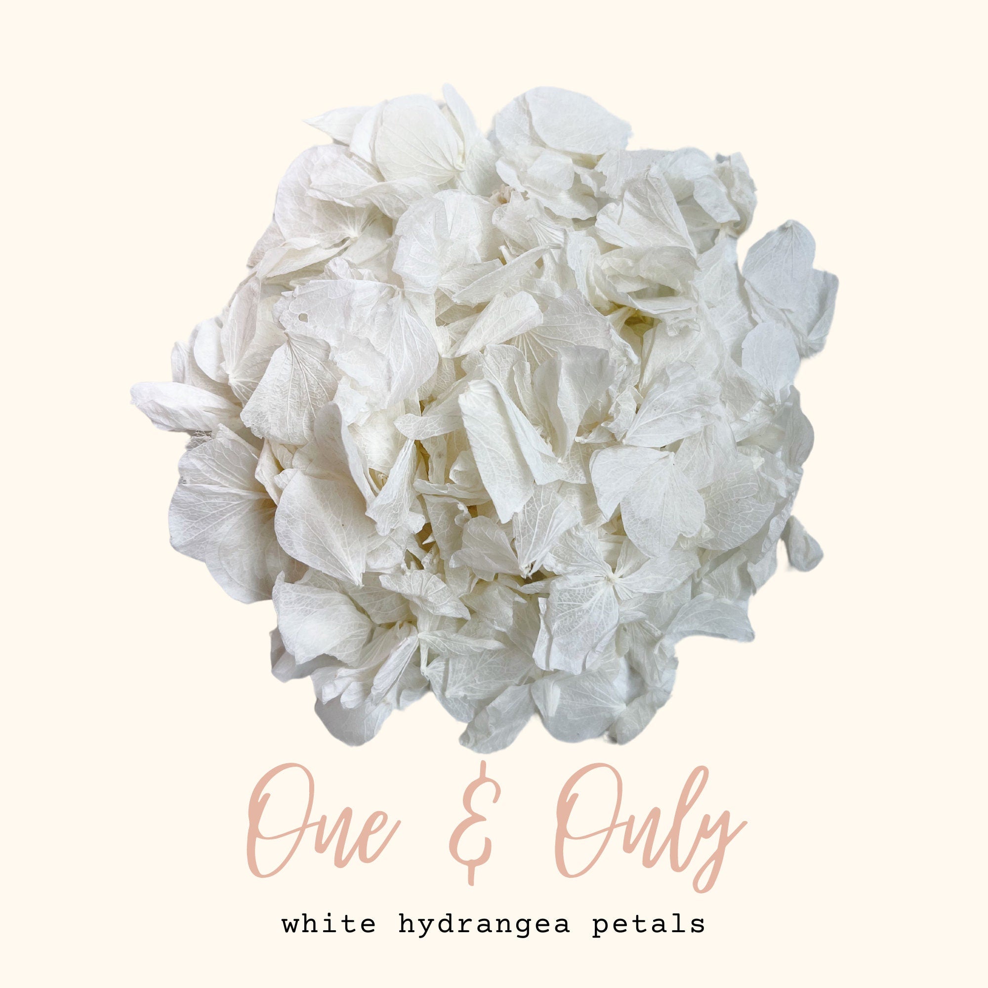 White Wedding Confetti | Real Biodegradable Petals | White Petals Confetti | Flower Girl Basket | Confetti Toss | White Hydrangea Petals