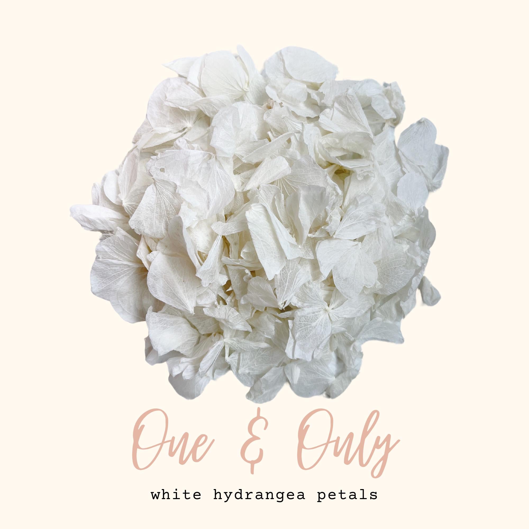 White Flower Confetti + Wedding Cones, Wedding Decor, Biodegradable Confetti, Dried Flower Petals, Wedding Favours, White Wedding Confetti