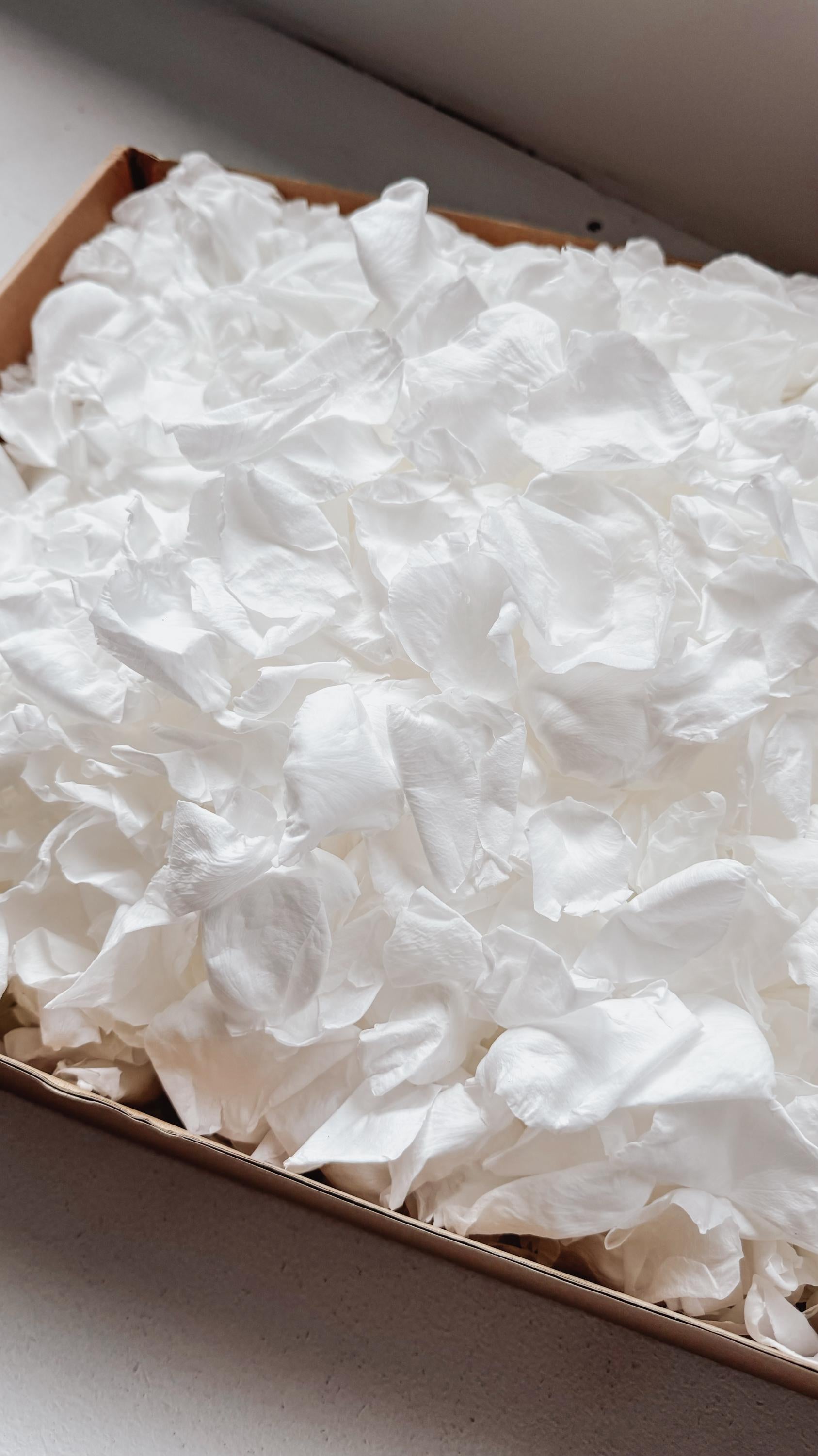 White Rose Petals for Wedding Confetti | Biodegradable Confetti | Flower Girl Basket | Wedding Decor | Preserved Rose Petals | Aisle Decor