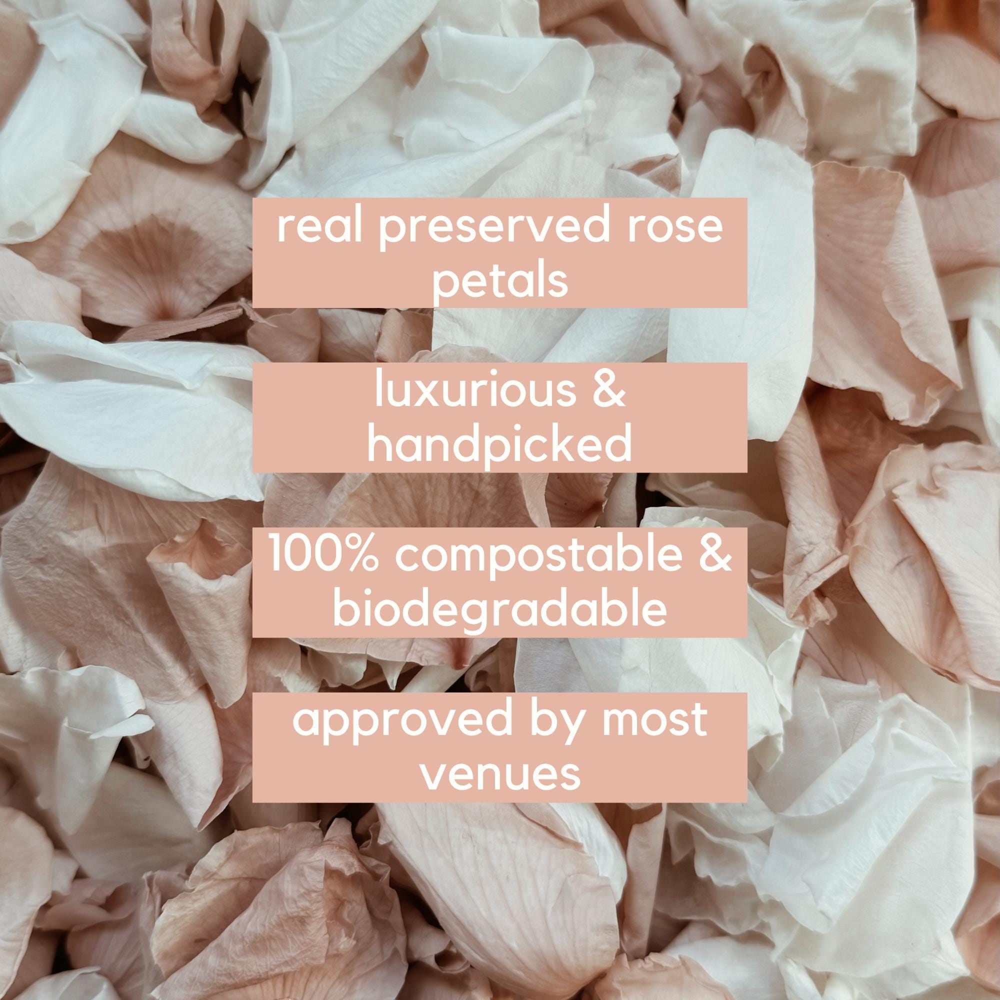 1 Litre Rose Petals for Wedding Confetti | Biodegradable Confetti | Flower Girl Basket | Wedding Decor | Preserved Rose Petals | Aisle Decor