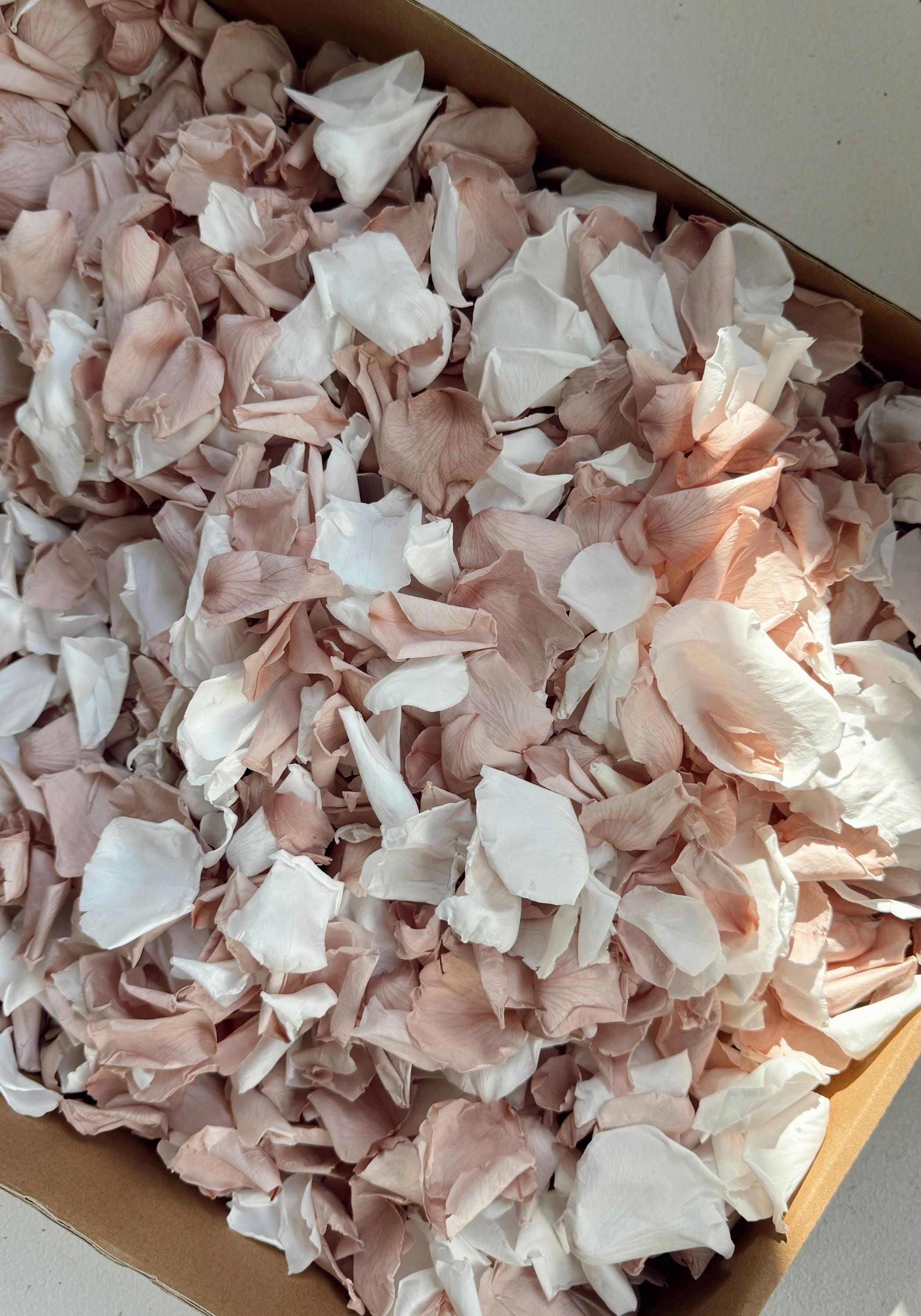 1 Litre Rose Petals for Wedding Confetti | Biodegradable Confetti | Flower Girl Basket | Wedding Decor | Preserved Rose Petals | Aisle Decor