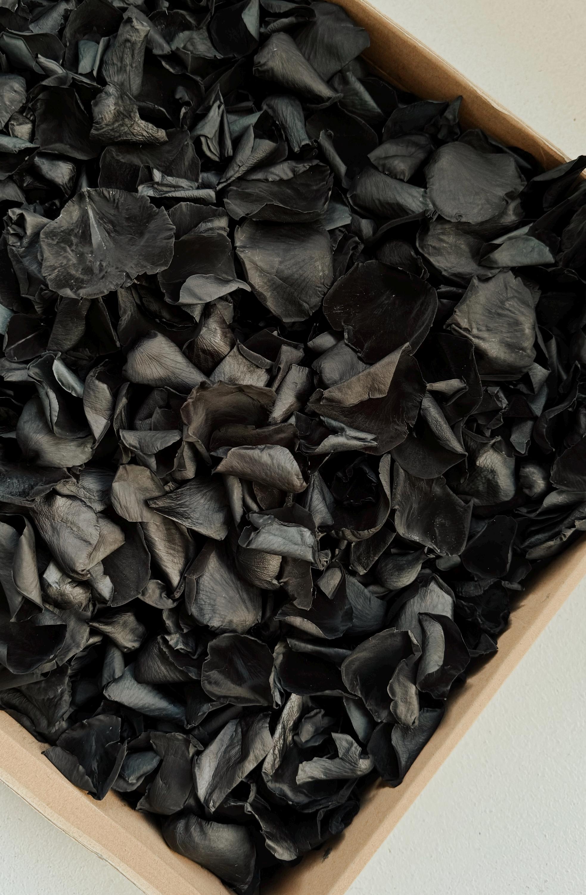 Black Rose Petals | Goth Wedding | Biodegradable Wedding Confetti | Flower Girl Basket | Goth Wedding Decor | Preserved Black Flower Petals