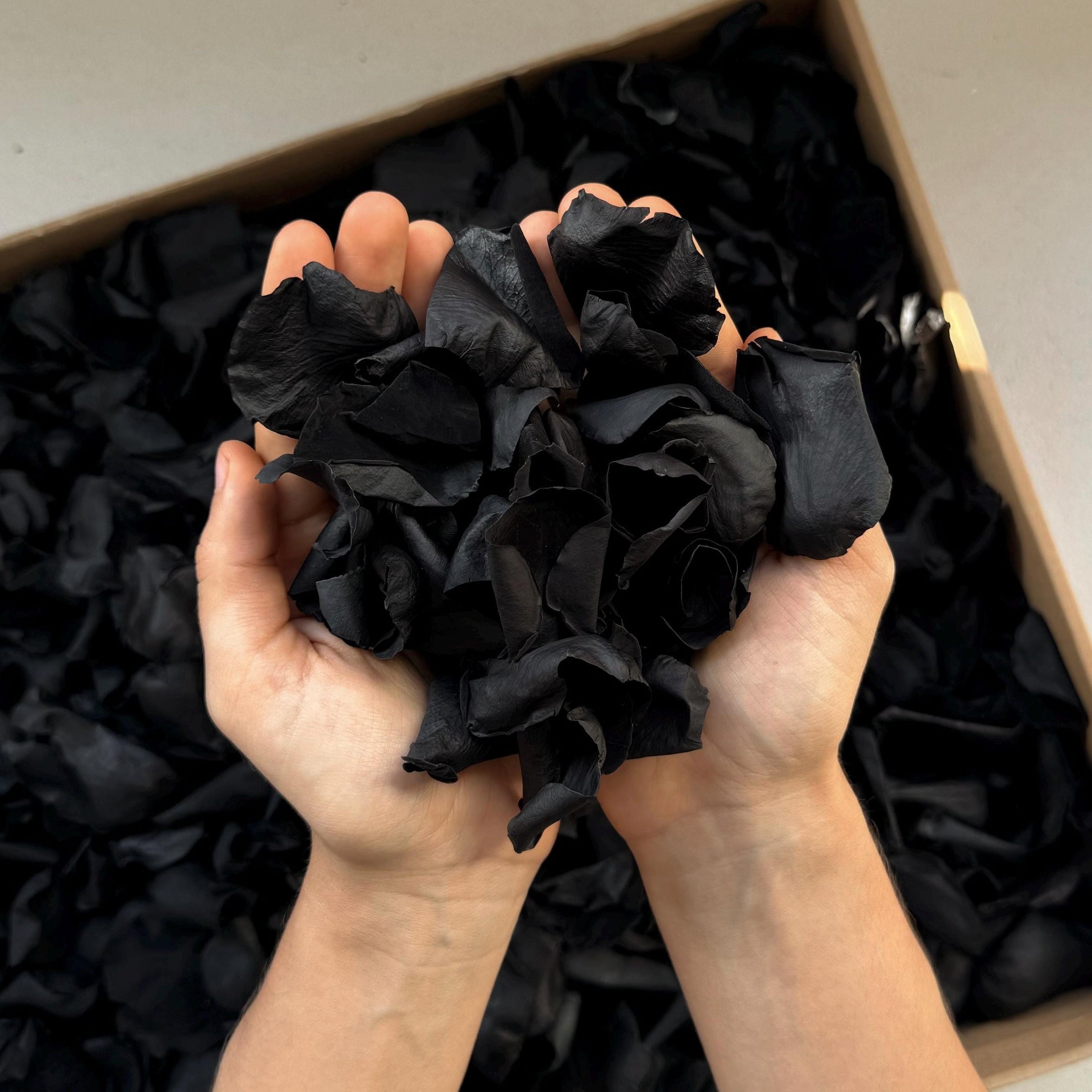 Black Rose Petals | Goth Wedding | Biodegradable Wedding Confetti | Flower Girl Basket | Goth Wedding Decor | Preserved Black Flower Petals