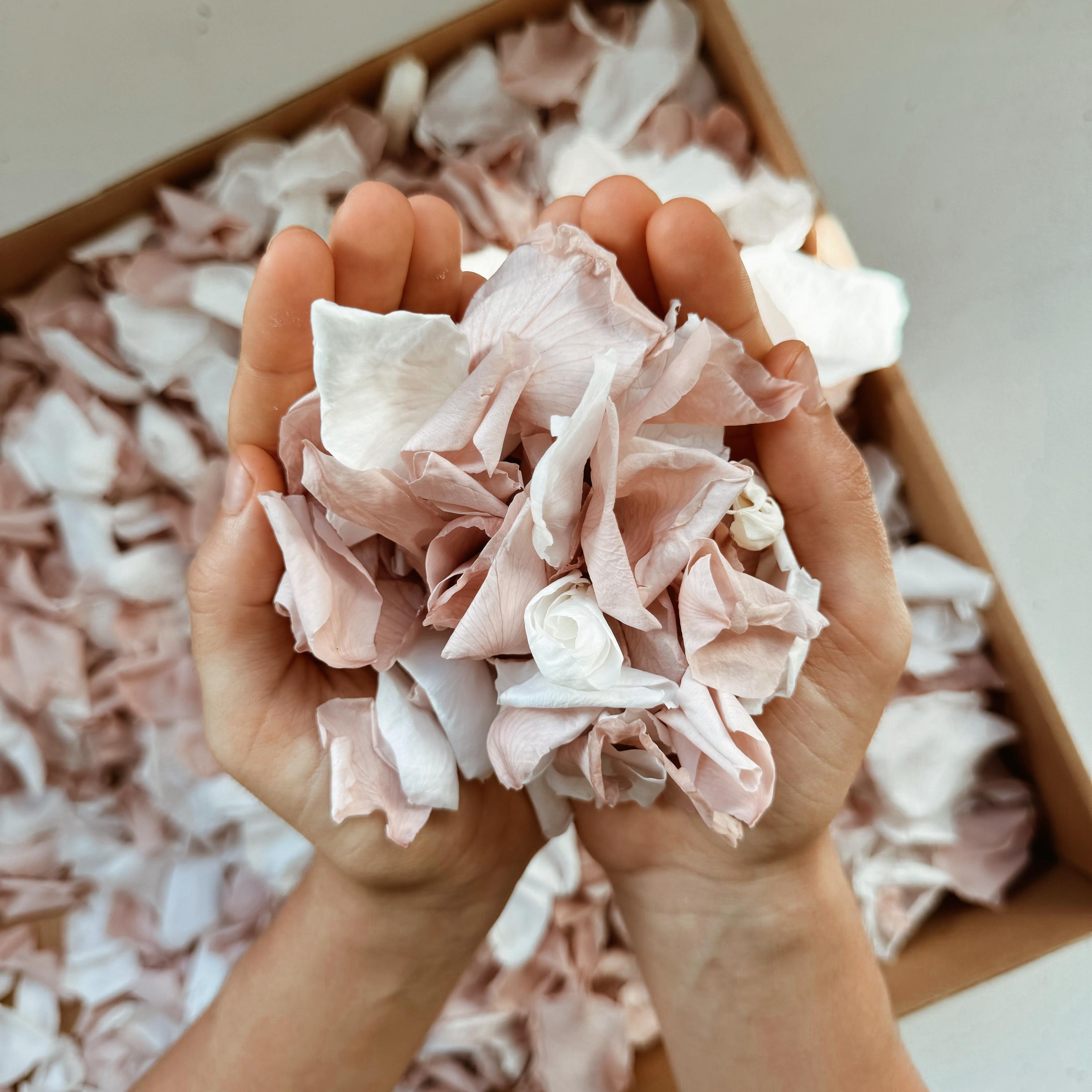 1 Litre Rose Petals for Wedding Confetti | Biodegradable Confetti | Flower Girl Basket | Wedding Decor | Preserved Rose Petals | Aisle Decor