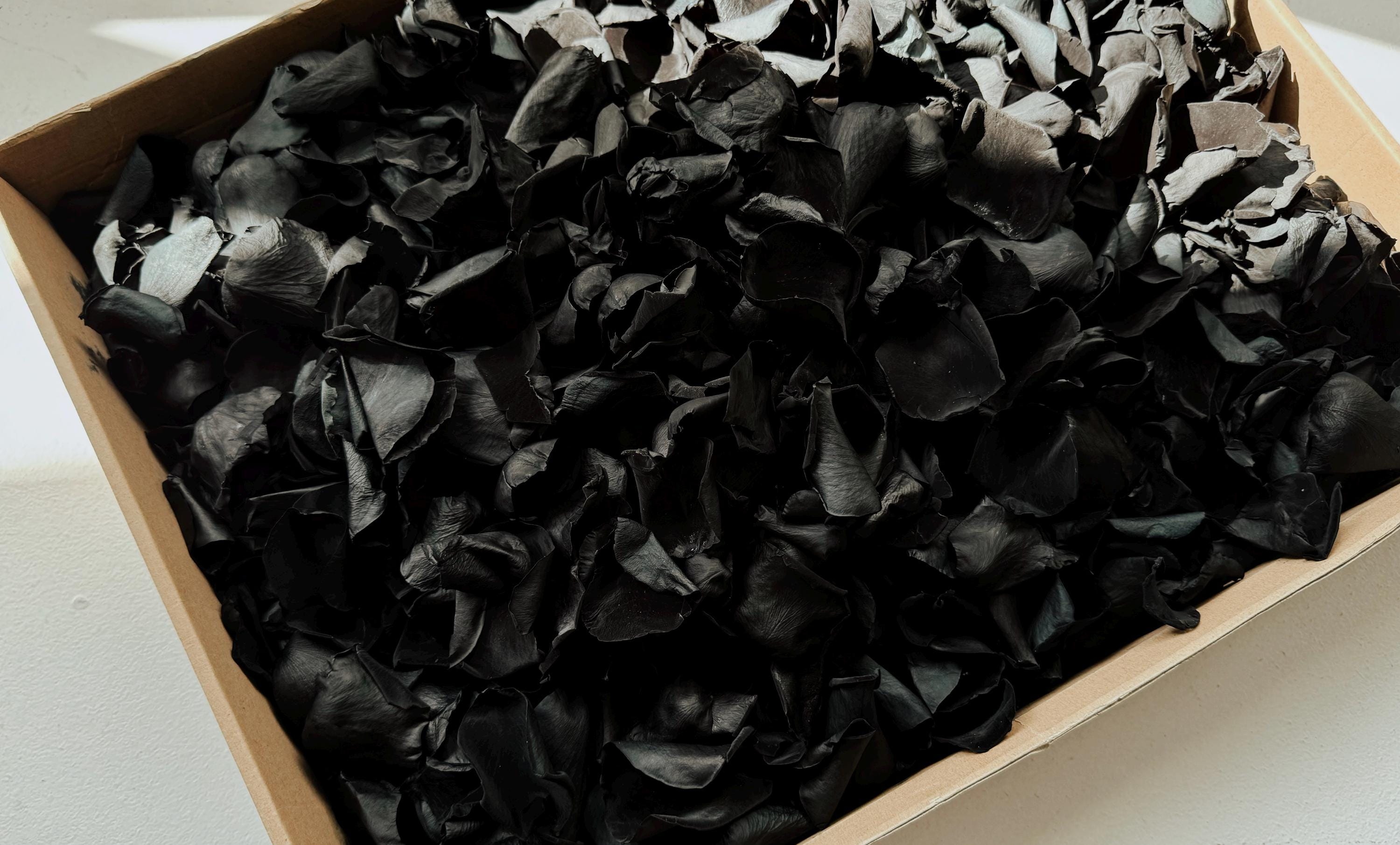 Black Rose Petals | Goth Wedding | Biodegradable Wedding Confetti | Flower Girl Basket | Goth Wedding Decor | Preserved Black Flower Petals