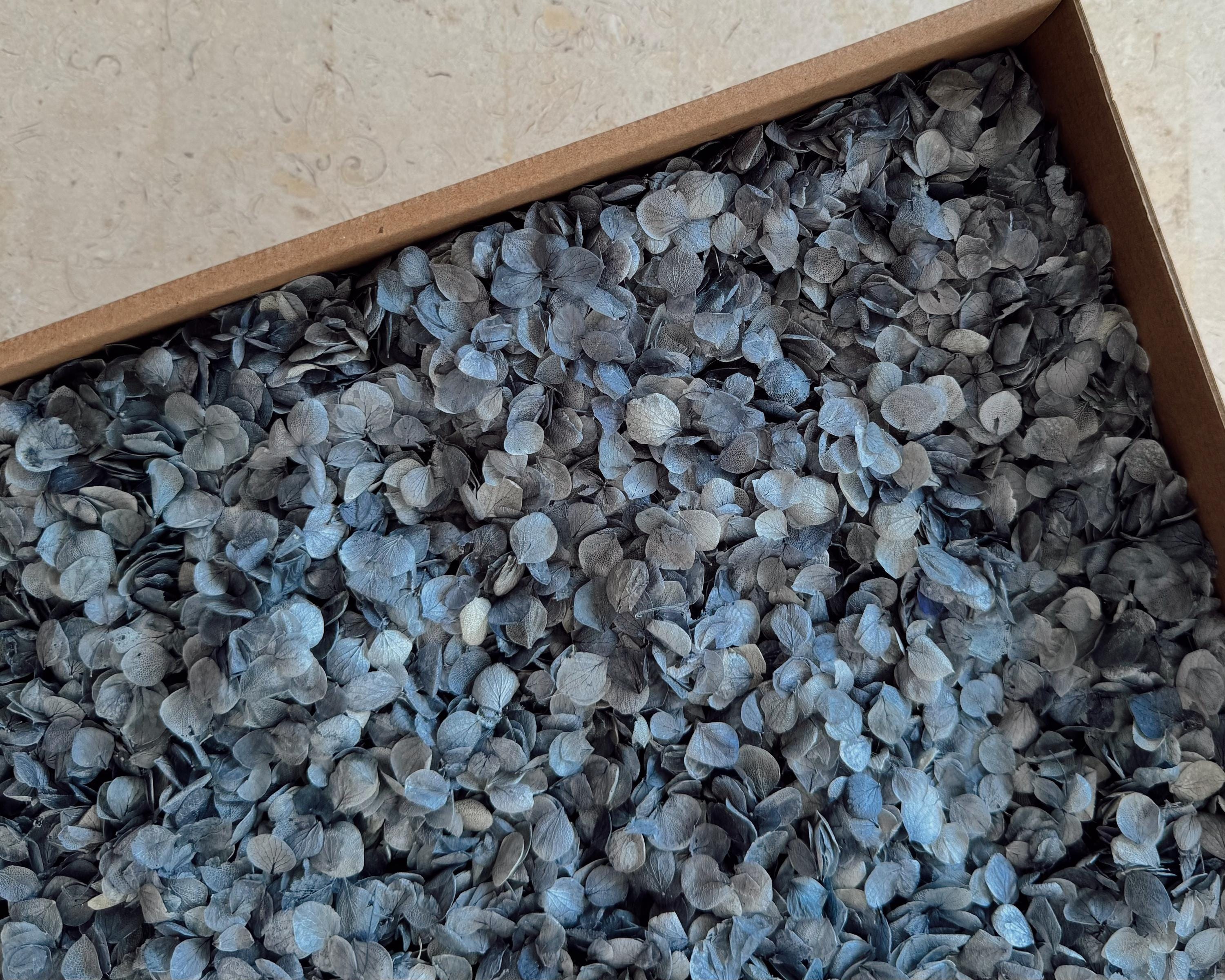 Dusty Blue Hydrangea Real Flower Petals | Biodegradable Wedding Confetti