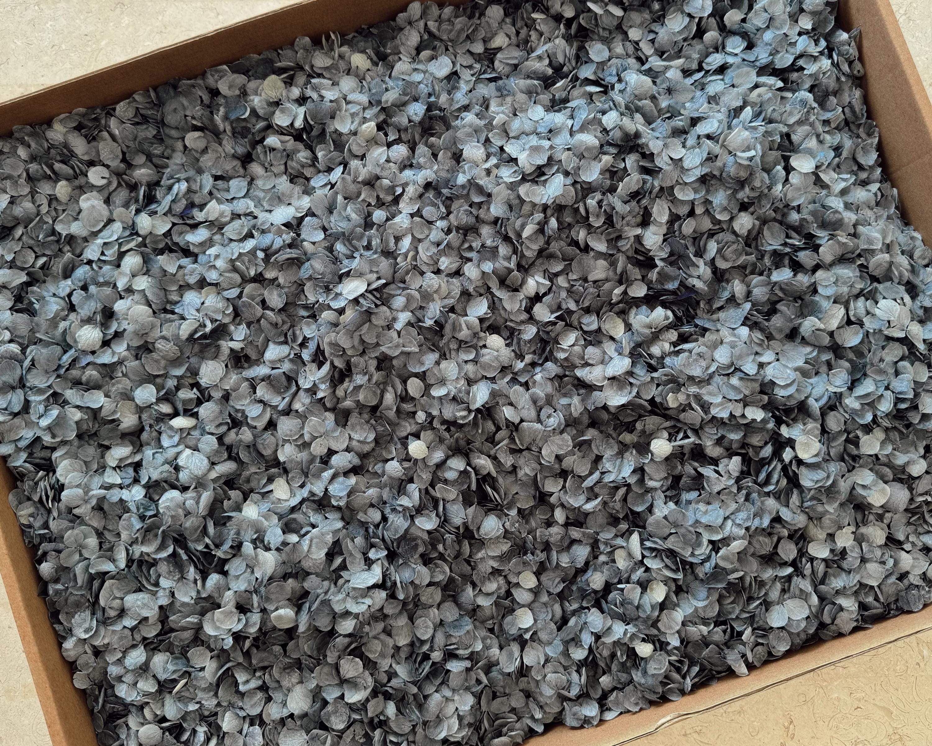 Dusty Blue Hydrangea Real Flower Petals | Biodegradable Wedding Confetti