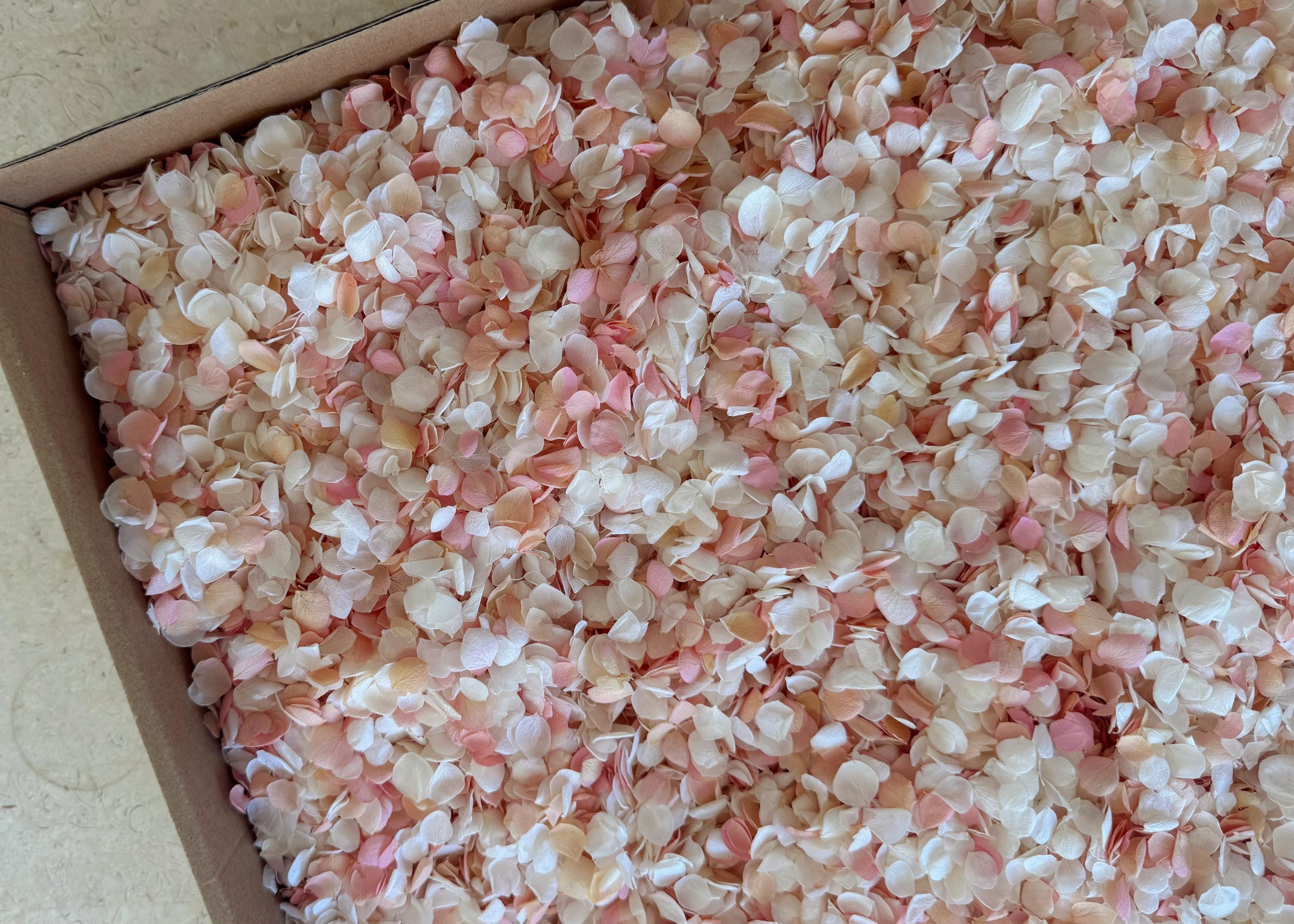 White & Pink Hydrangea Real Flower Petals | Biodegradable Wedding Confetti