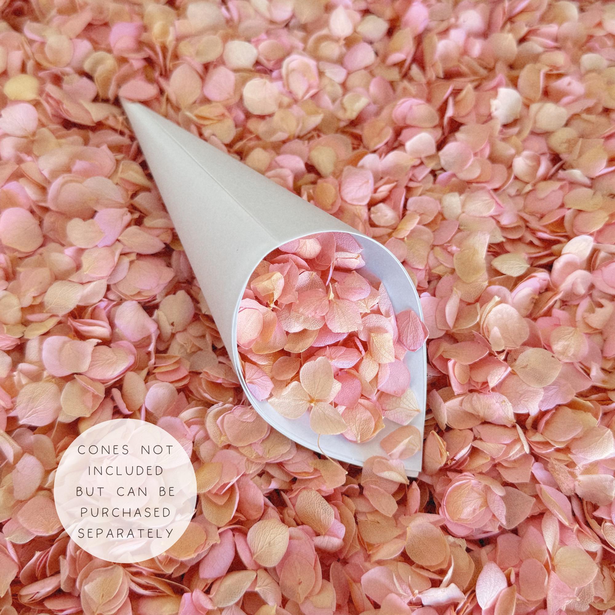 Pink Ombre Hydrangea Real Flower Petals | Biodegradable Wedding Confetti
