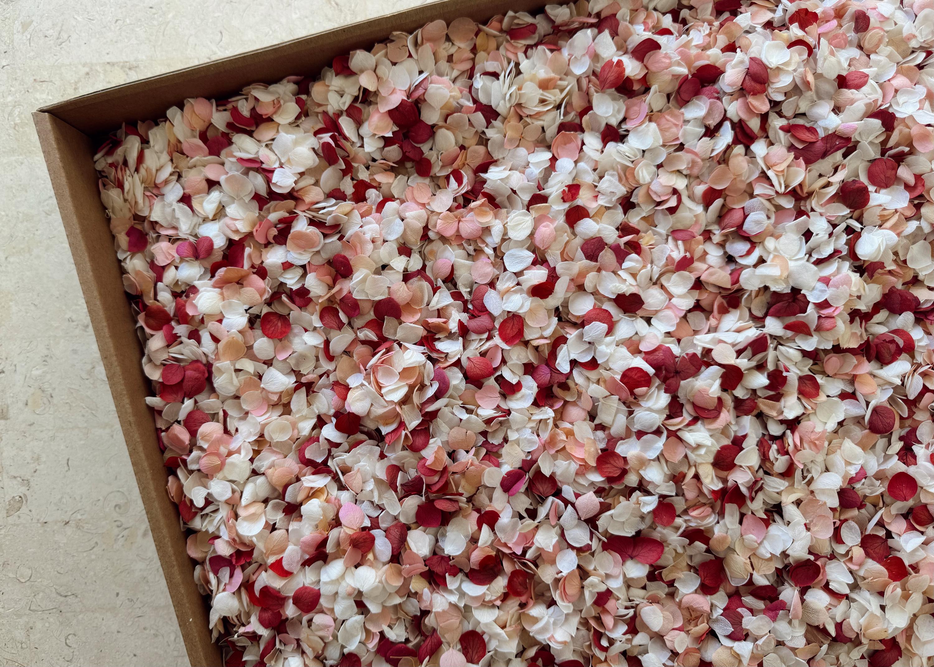 White & Pink Hydrangea Real Flower Petals | Biodegradable Wedding Confetti
