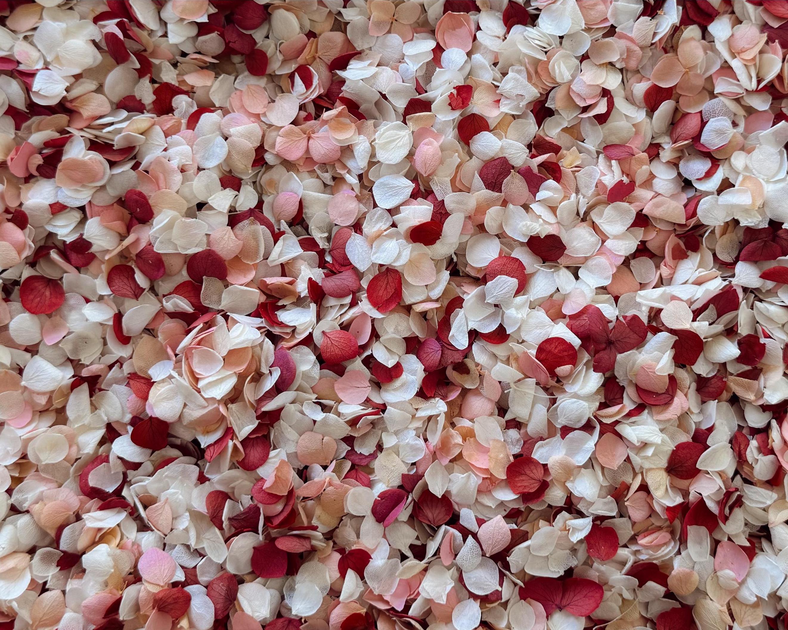 White & Pink Hydrangea Real Flower Petals | Biodegradable Wedding Confetti