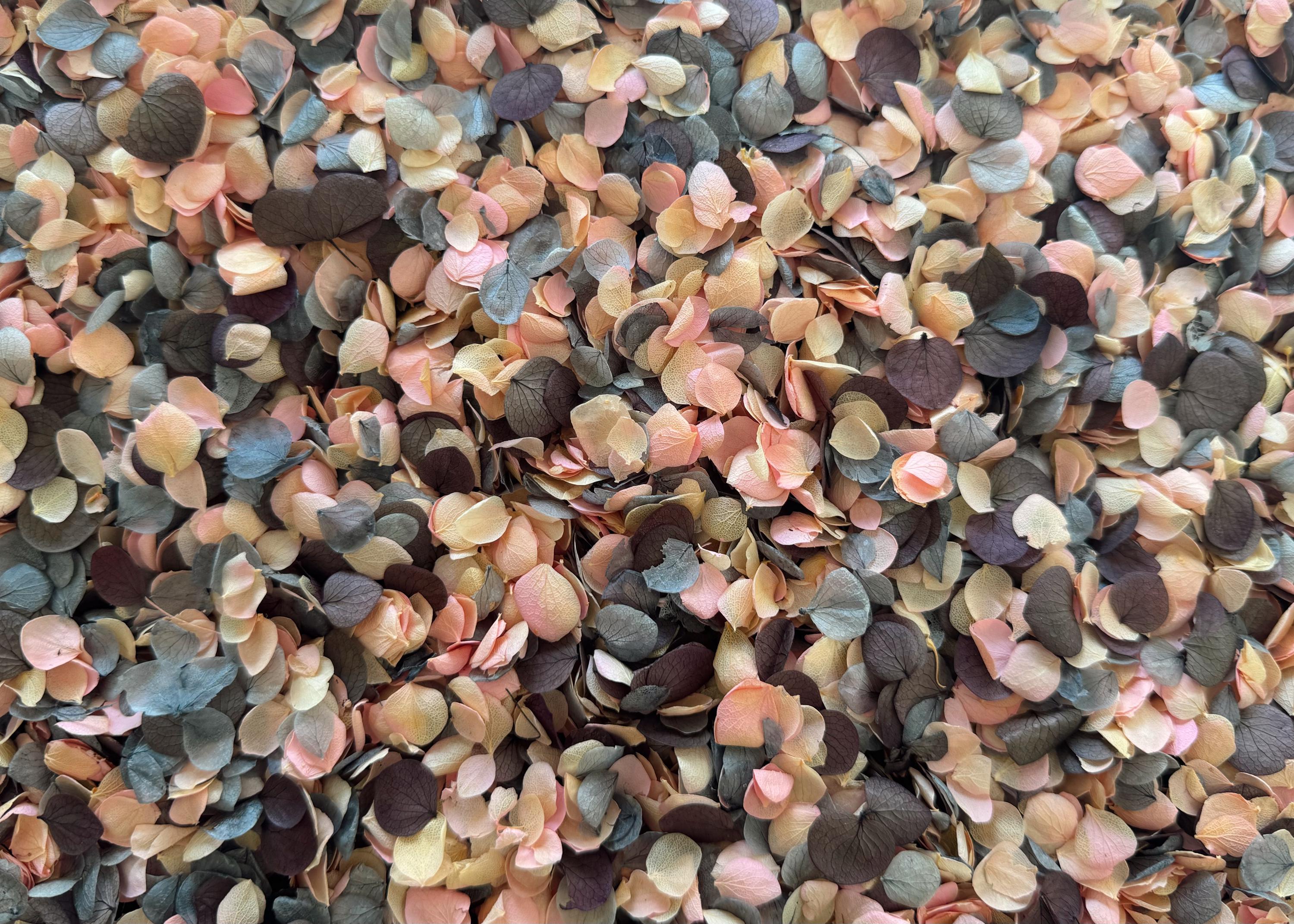 Real Hydrangea Flower Petals | Biodegradable Wedding Confetti
