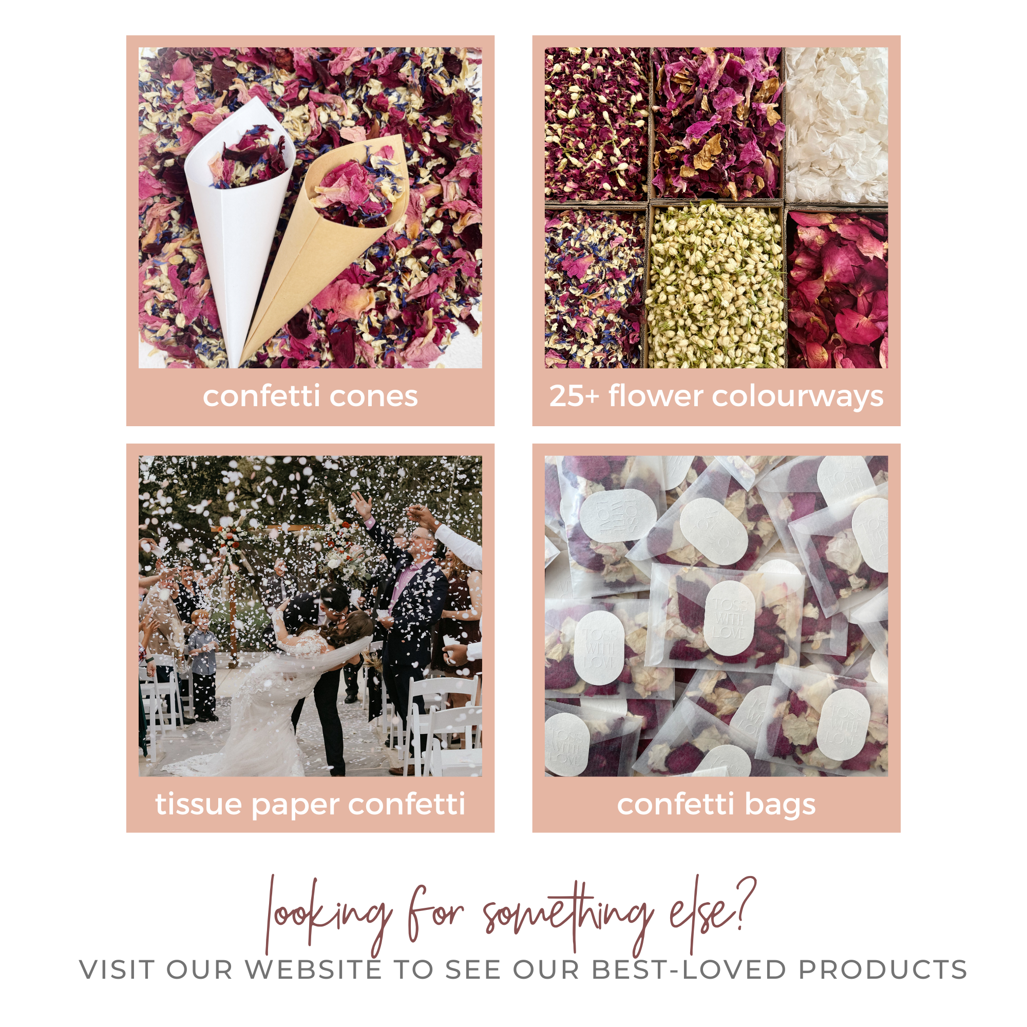 Next Chapter | Biodegradable Dried Flower Confetti