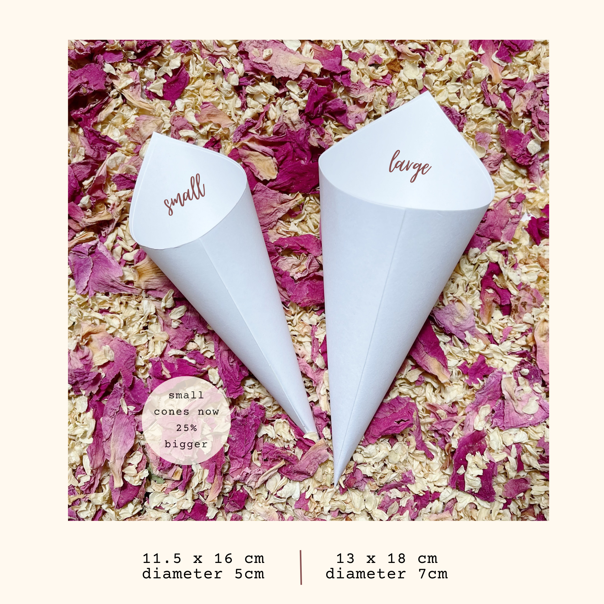 Flower Confetti + Cones | Biodegradable Confetti