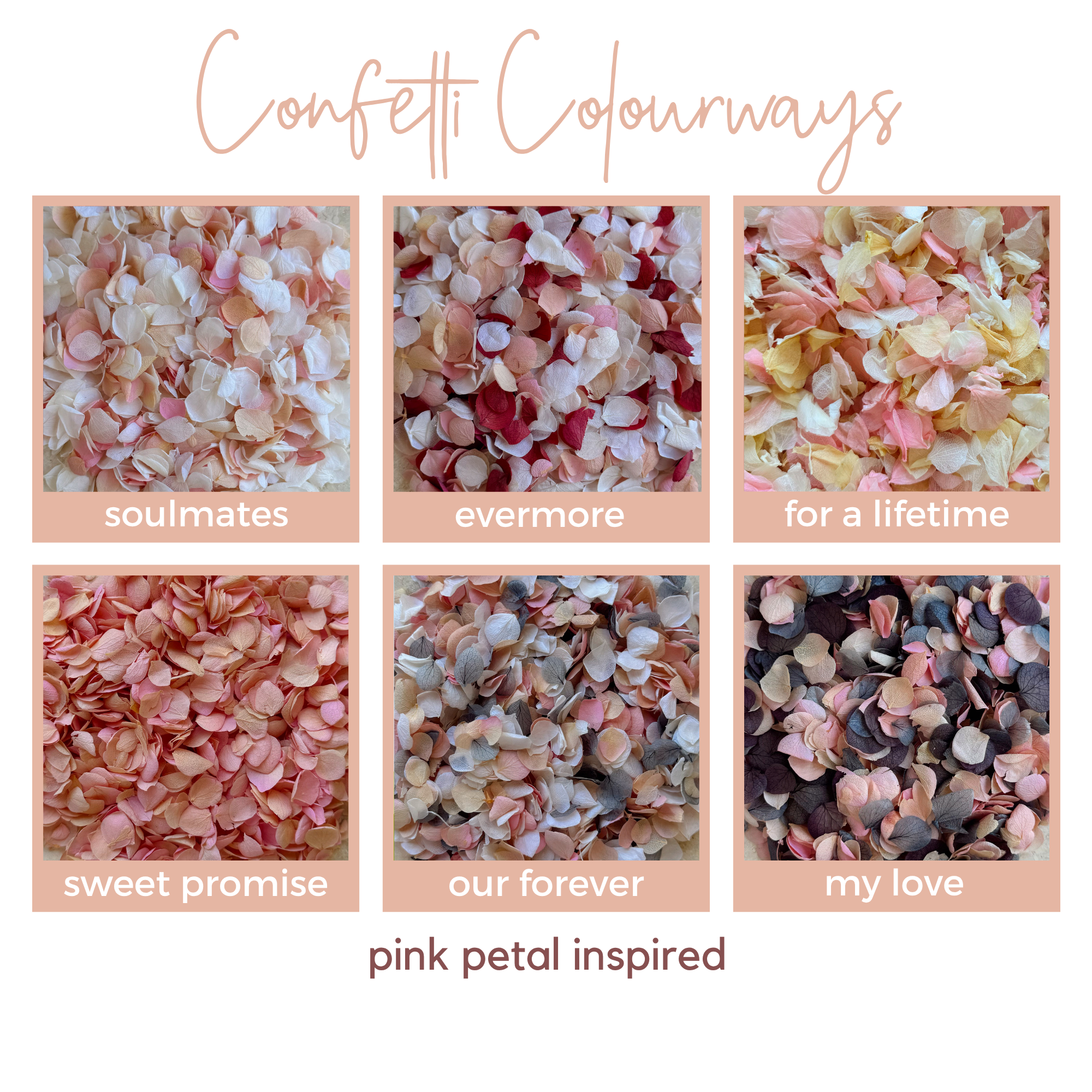 Preserved Flower Confetti + Cone Bundle