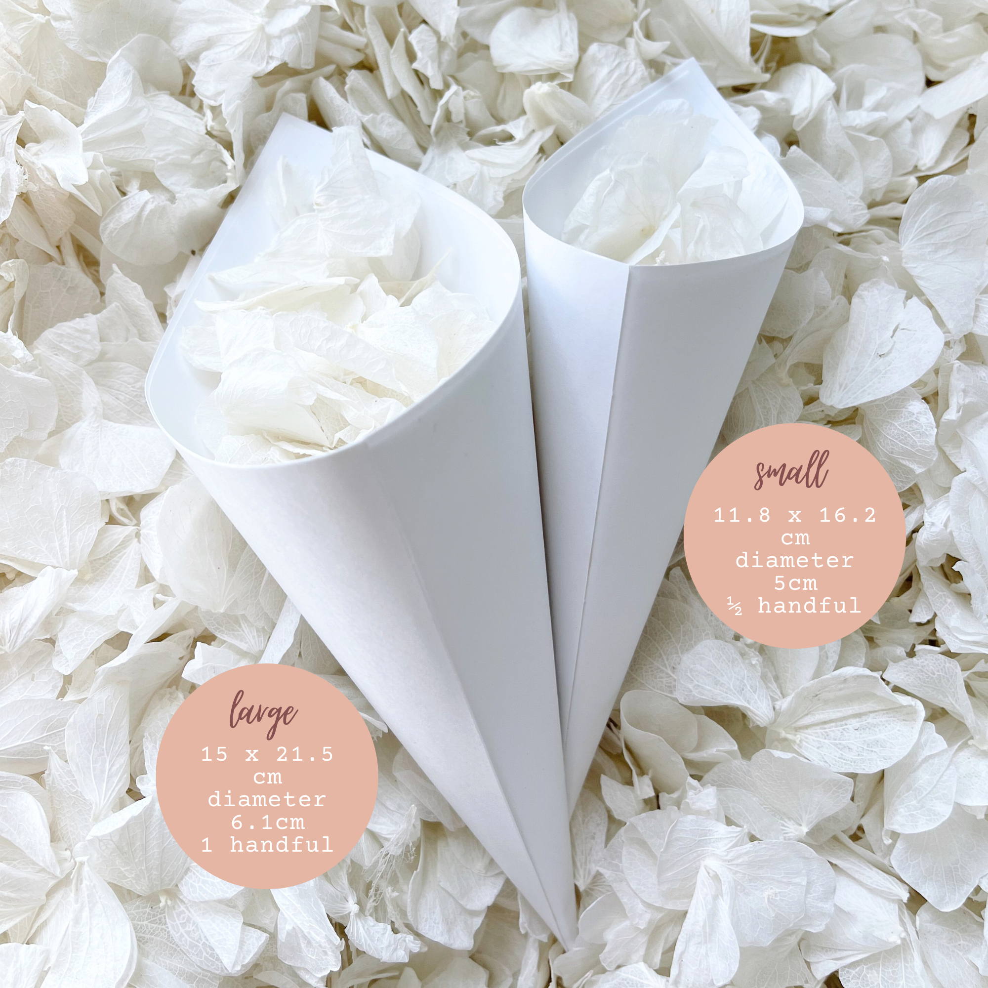 Preserved Hydrangea Petals + White Wedding Cones