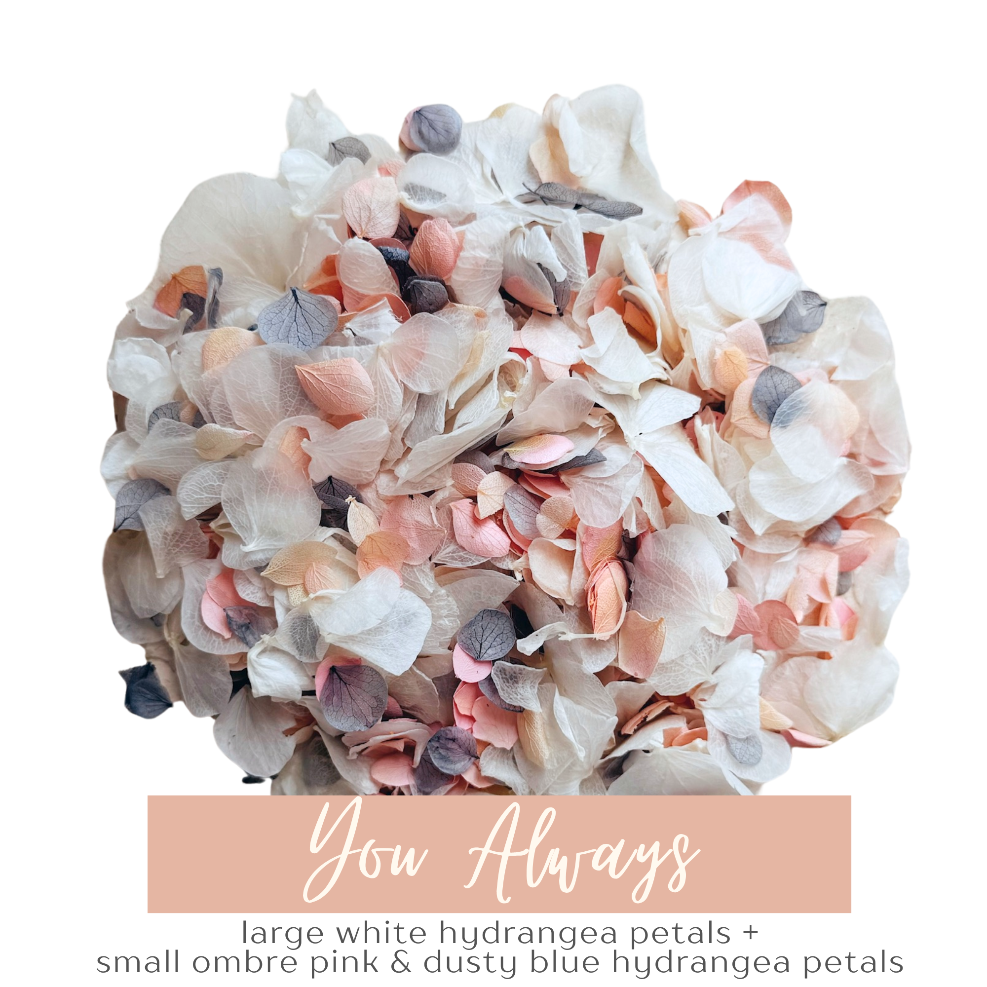 Preserved Hydrangea Petals | 'You Always' Wedding Confetti