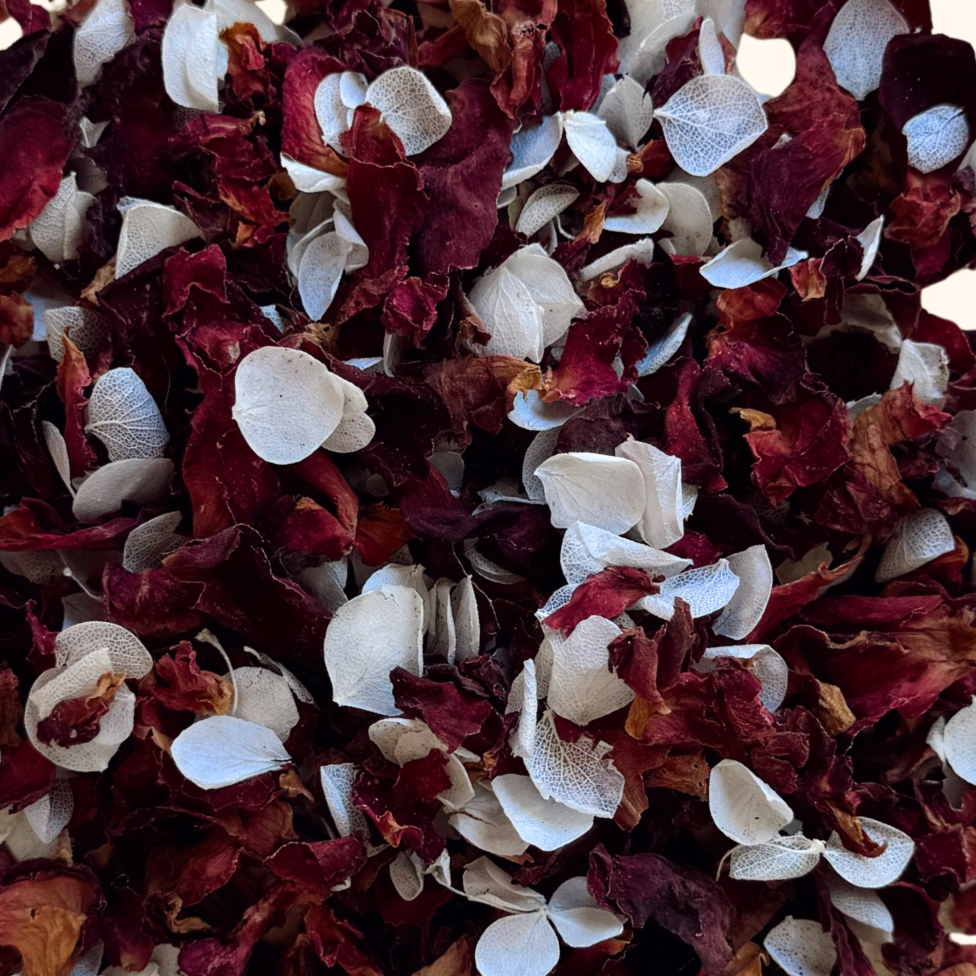 Next Chapter | Biodegradable Dried Flower Confetti