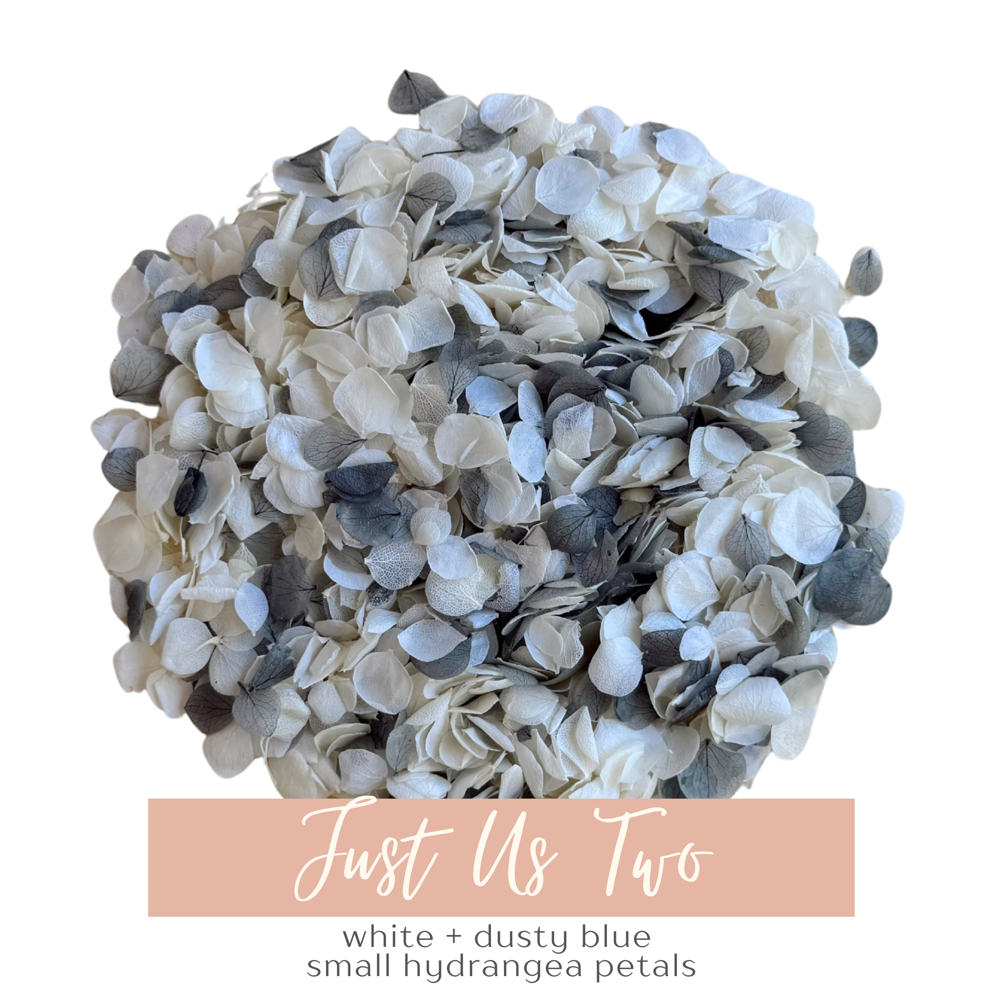 Preserved Flower Confetti + Cones | Just Us Two