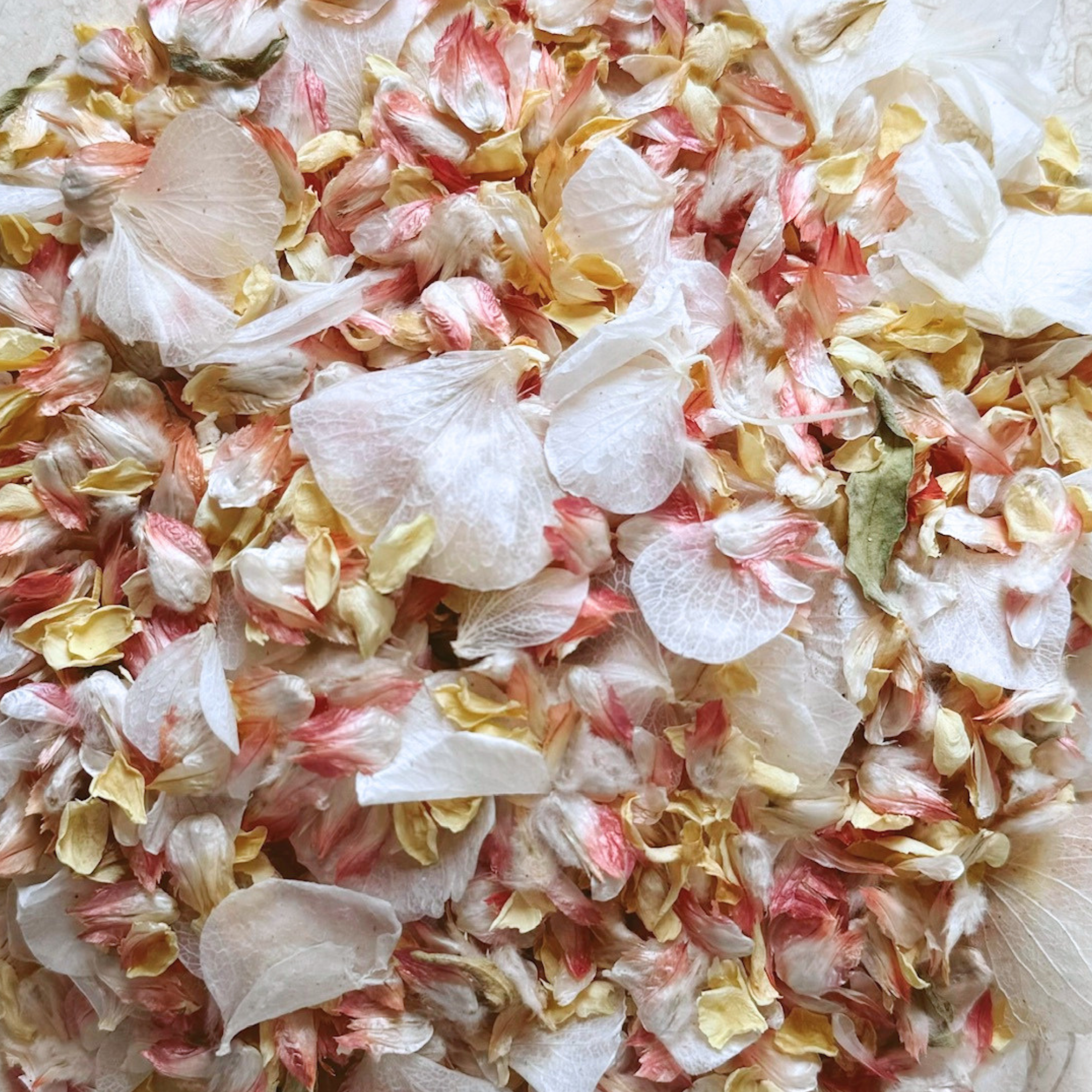Love Story | Biodegradable Dried & Preserved Flower Confetti