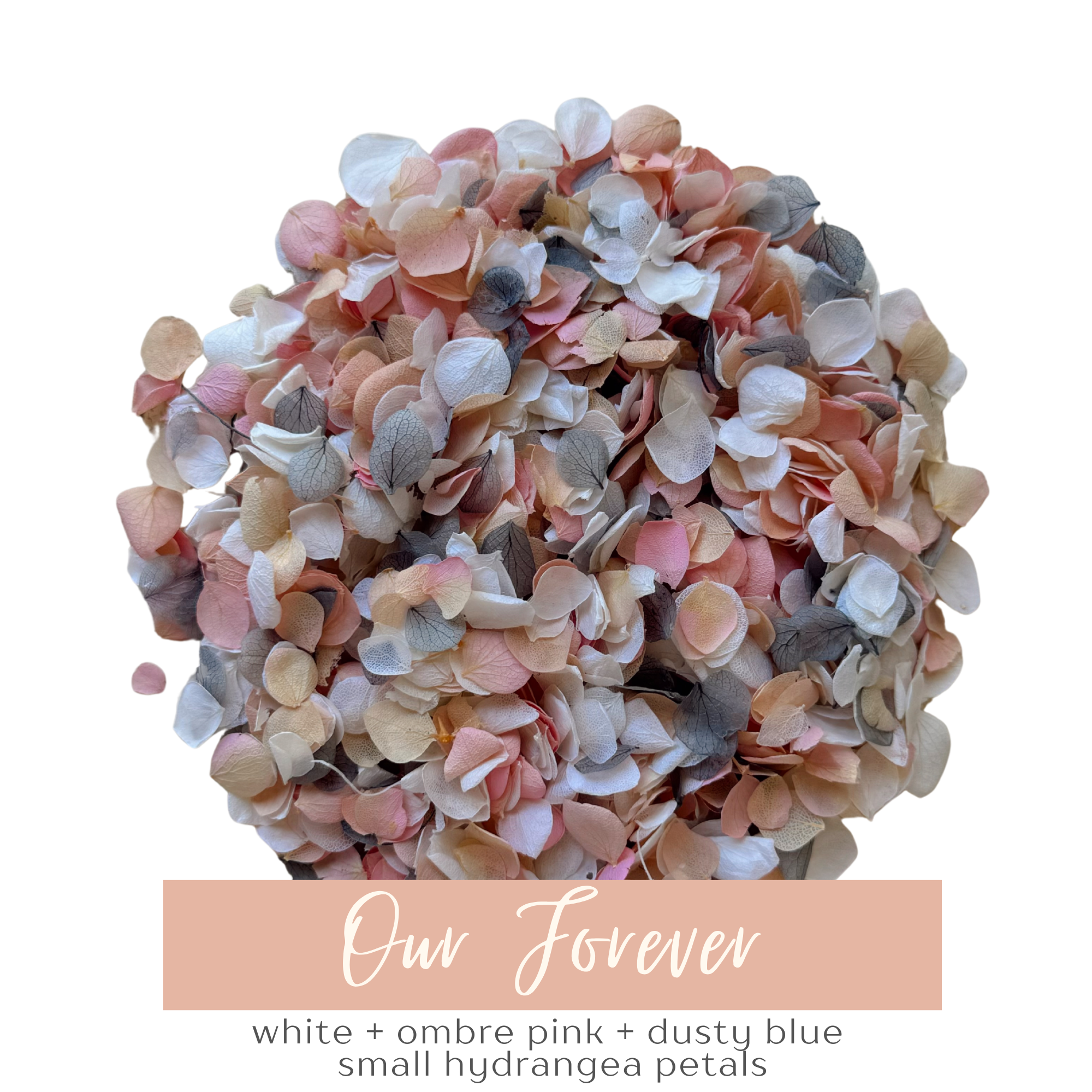 Preserved Flower Confetti + Cones | Our Forever