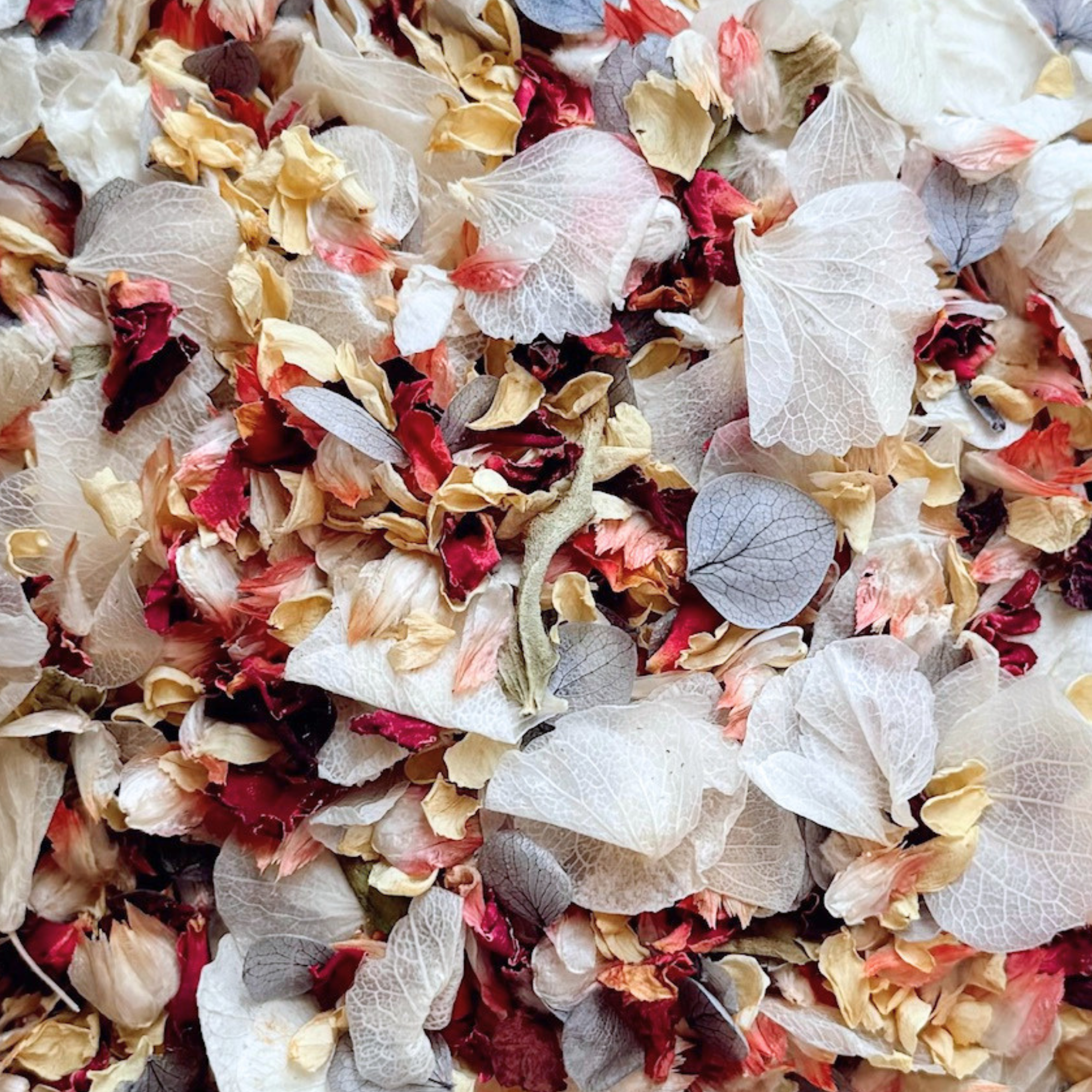 Forever & Always | Biodegradable Dried & Preserved Flower Confetti
