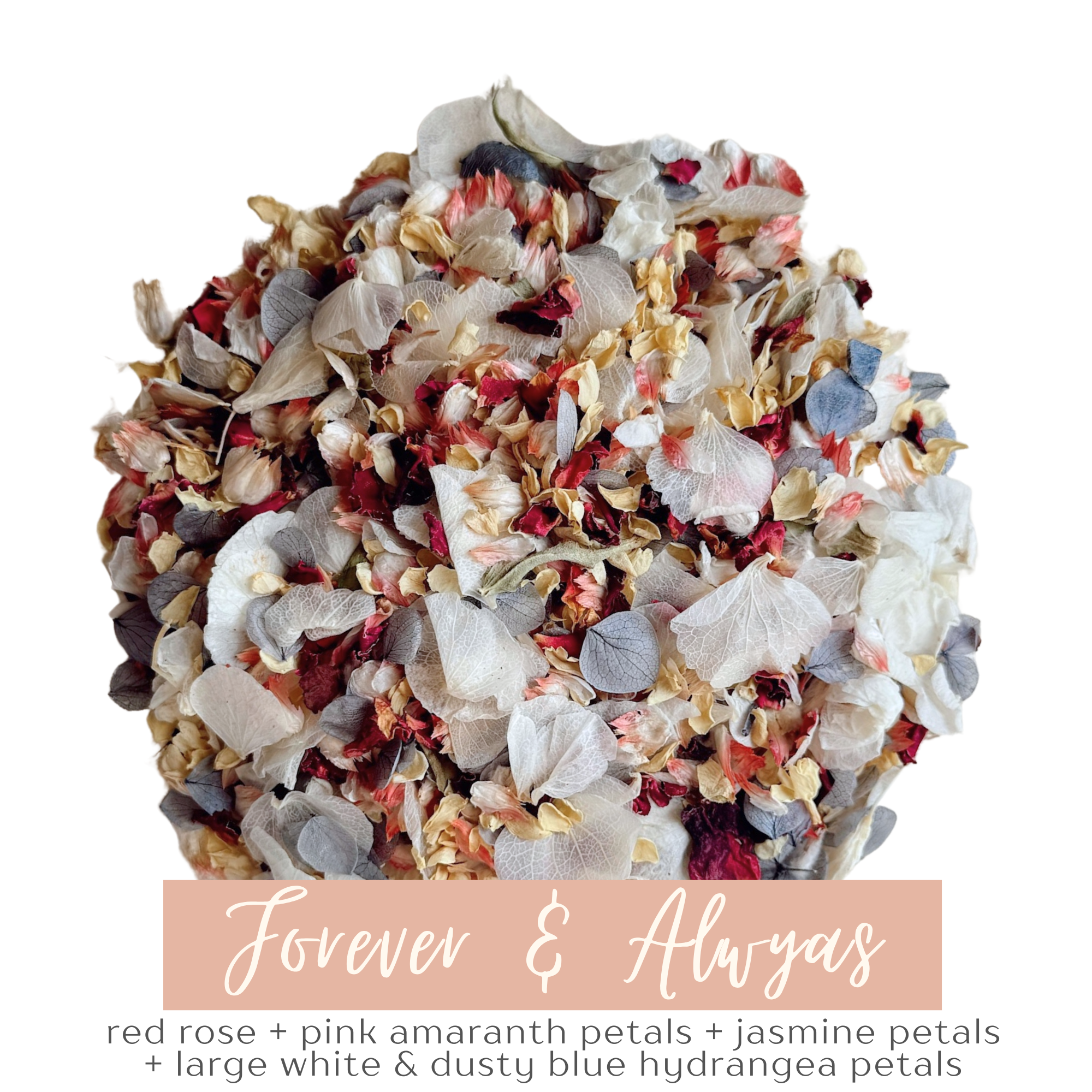 Forever & Always | Biodegradable Dried & Preserved Flower Confetti